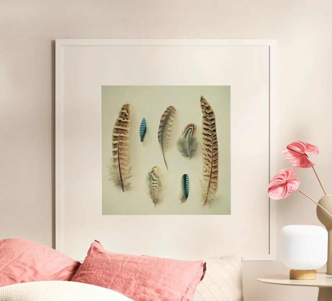 La collezione di piume poster con telaio in plastica da Cassia Beck Photography