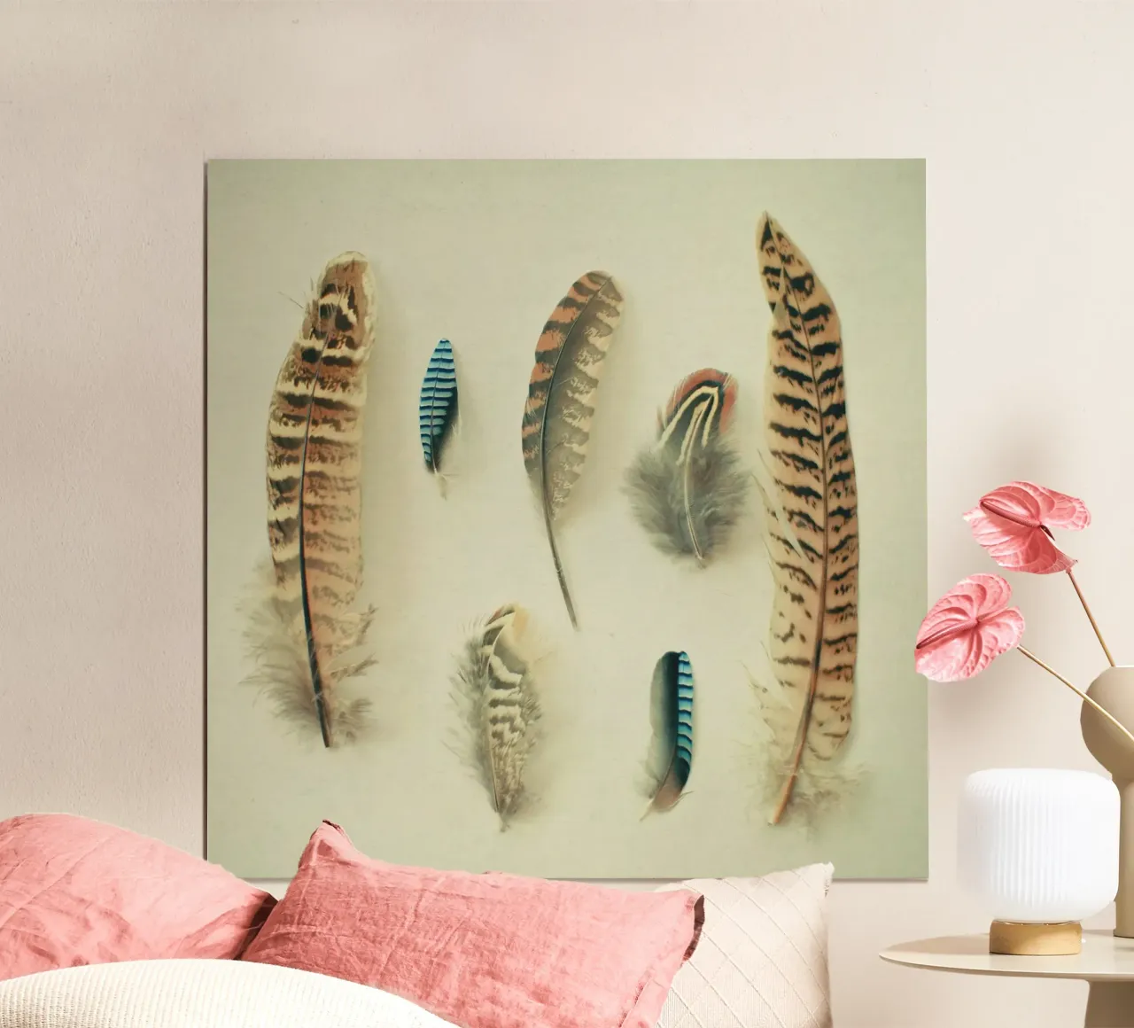 La collezione di piume poster con telaio in plastica da Cassia Beck Photography