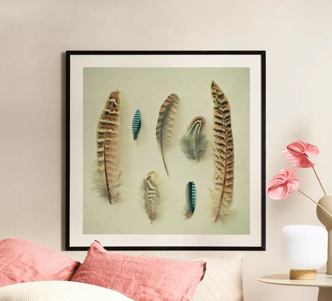 La collezione di piume poster con telaio in plastica da Cassia Beck Photography
