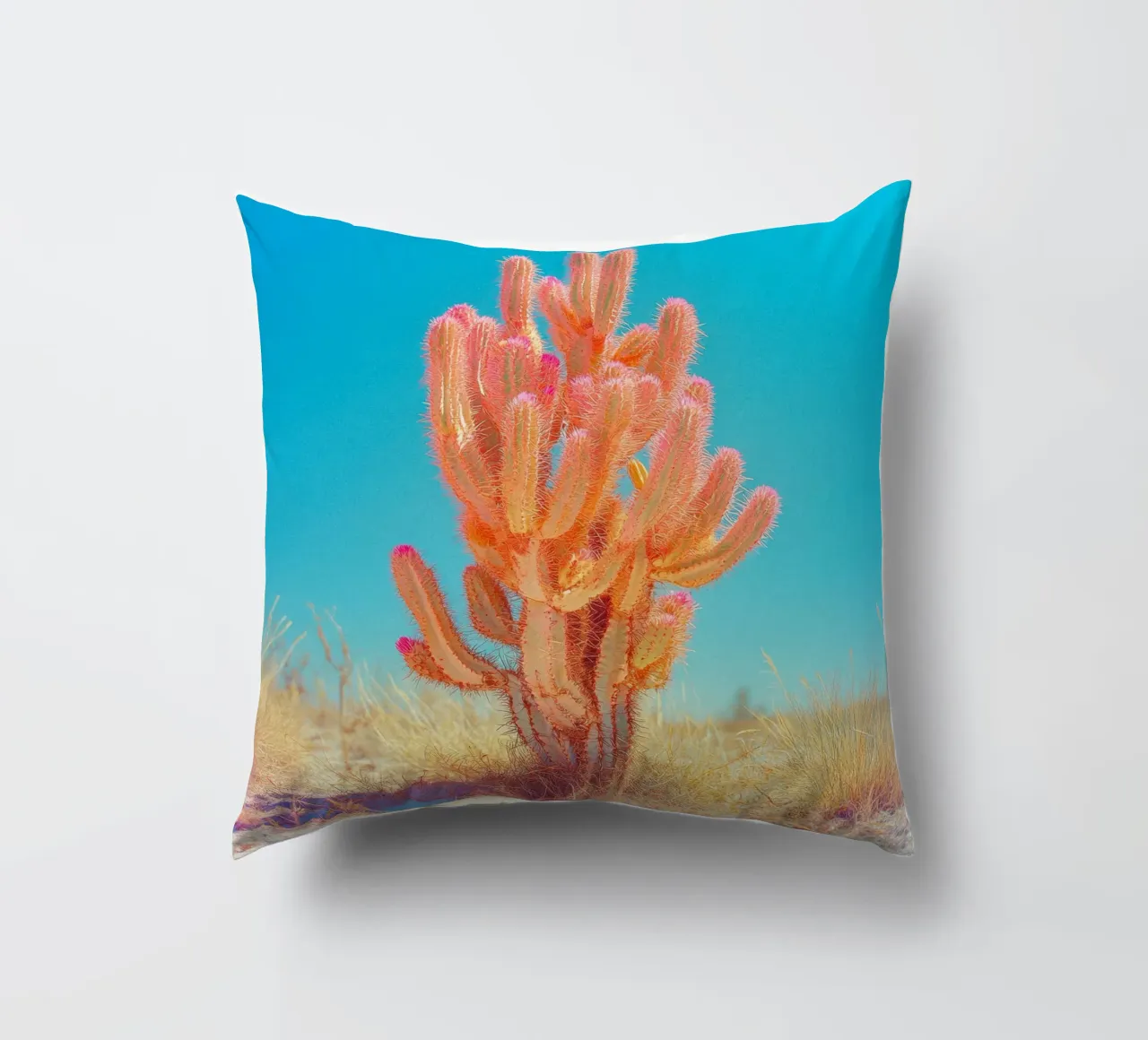 71 cuscino da Pink California | Affiches & Posters