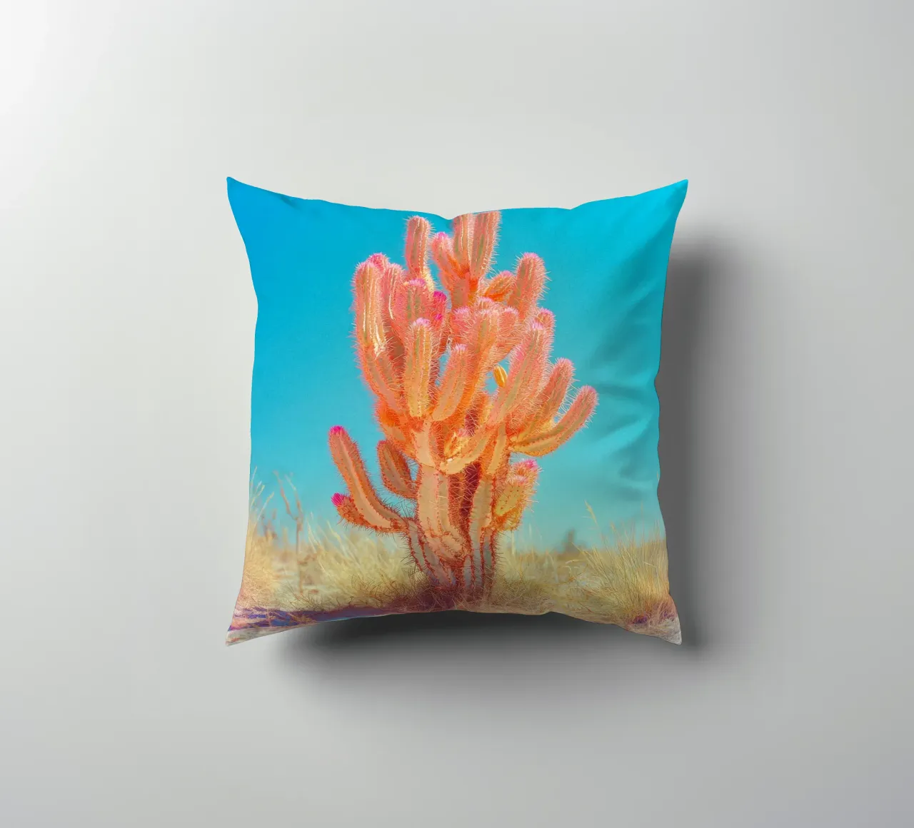 71 cuscino da Pink California | Affiches & Posters