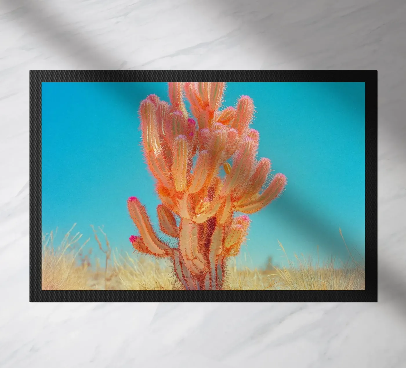 71 zerbino da Pink California | Affiches & Posters