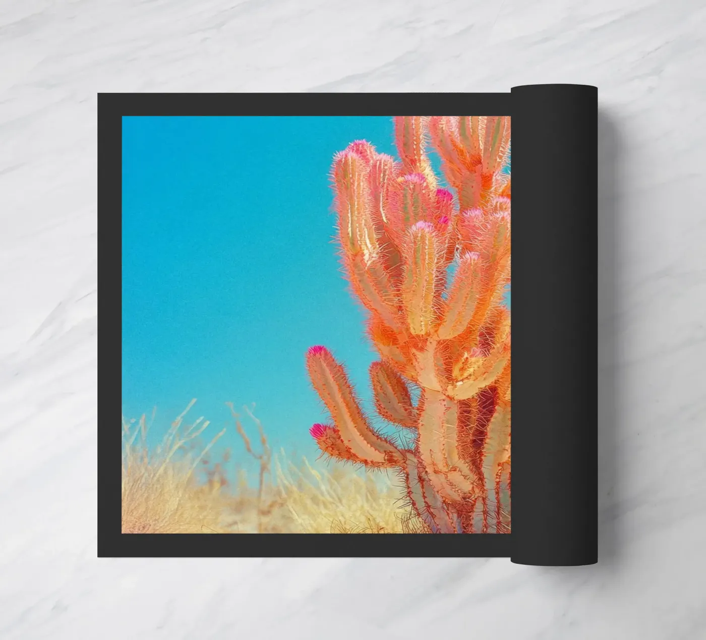 71 zerbino da Pink California | Affiches & Posters