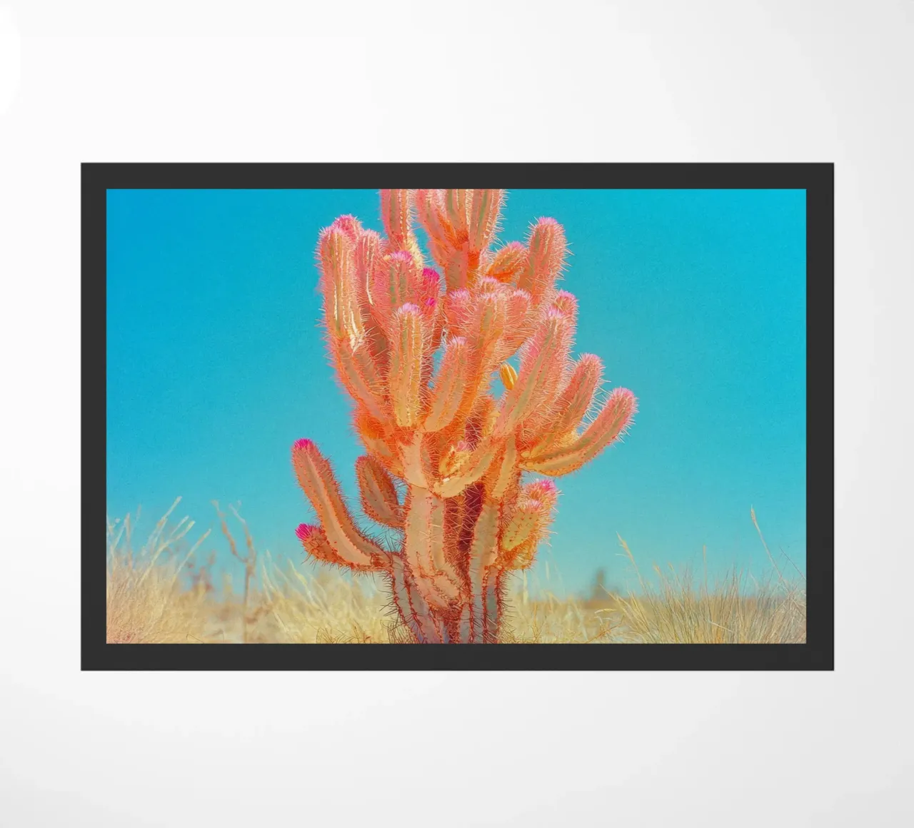 71 zerbino da Pink California | Affiches & Posters