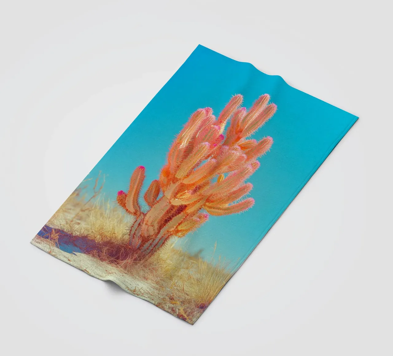 71 Fleecedecke von Pink California | Affiches & Posters