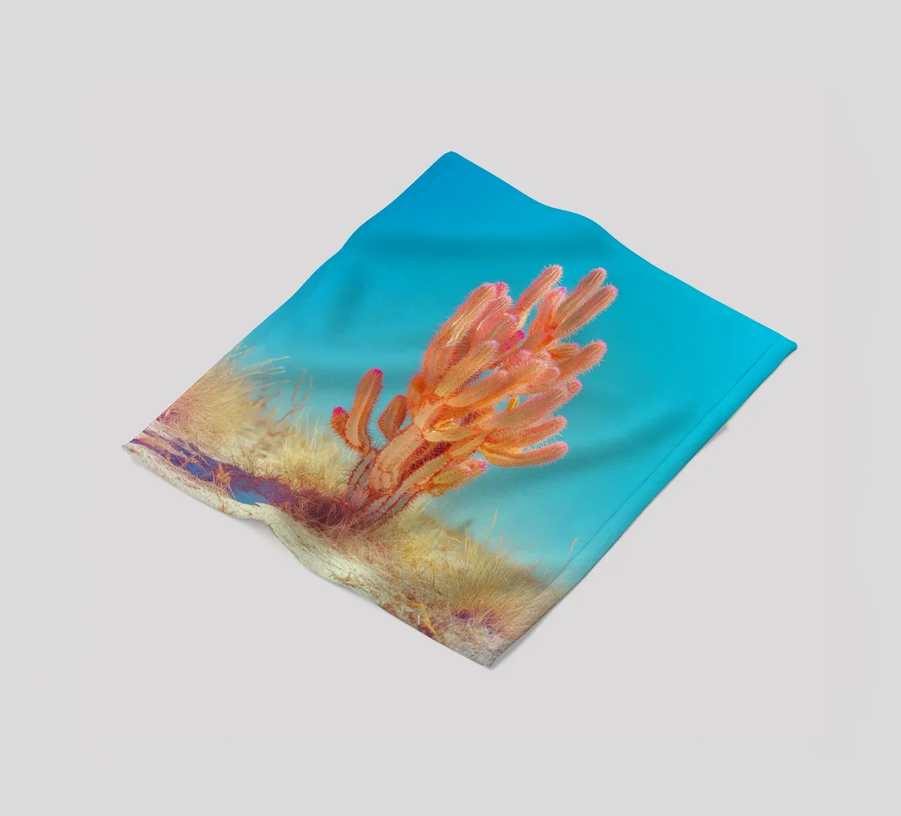 71 Fleecedecke von Pink California | Affiches & Posters