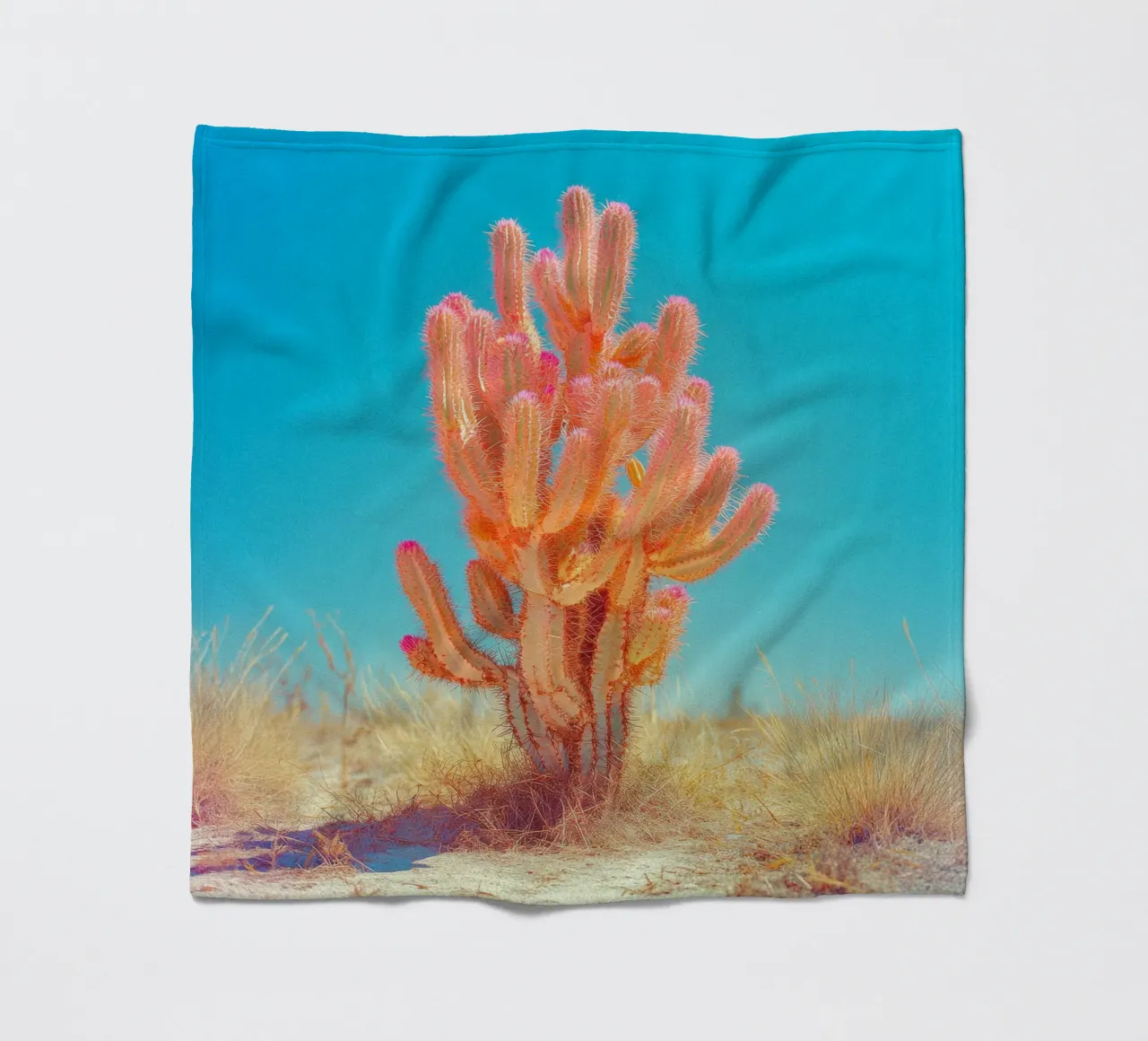 71 Fleecedecke von Pink California | Affiches & Posters