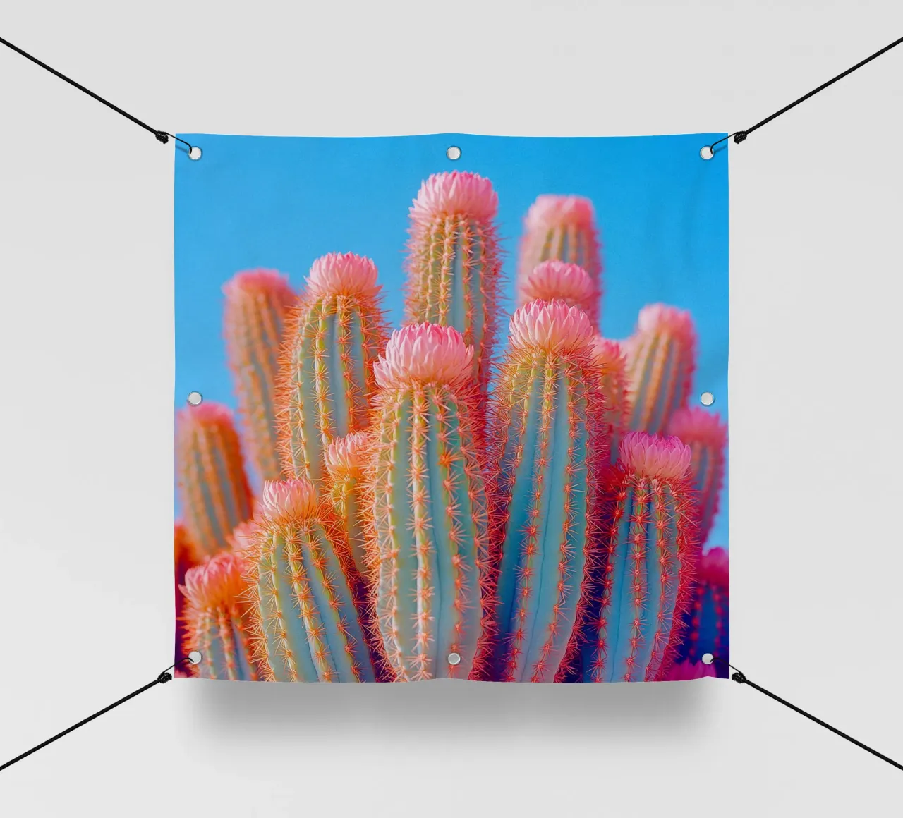 72 telo in pvc da Pink California | Affiches & Posters