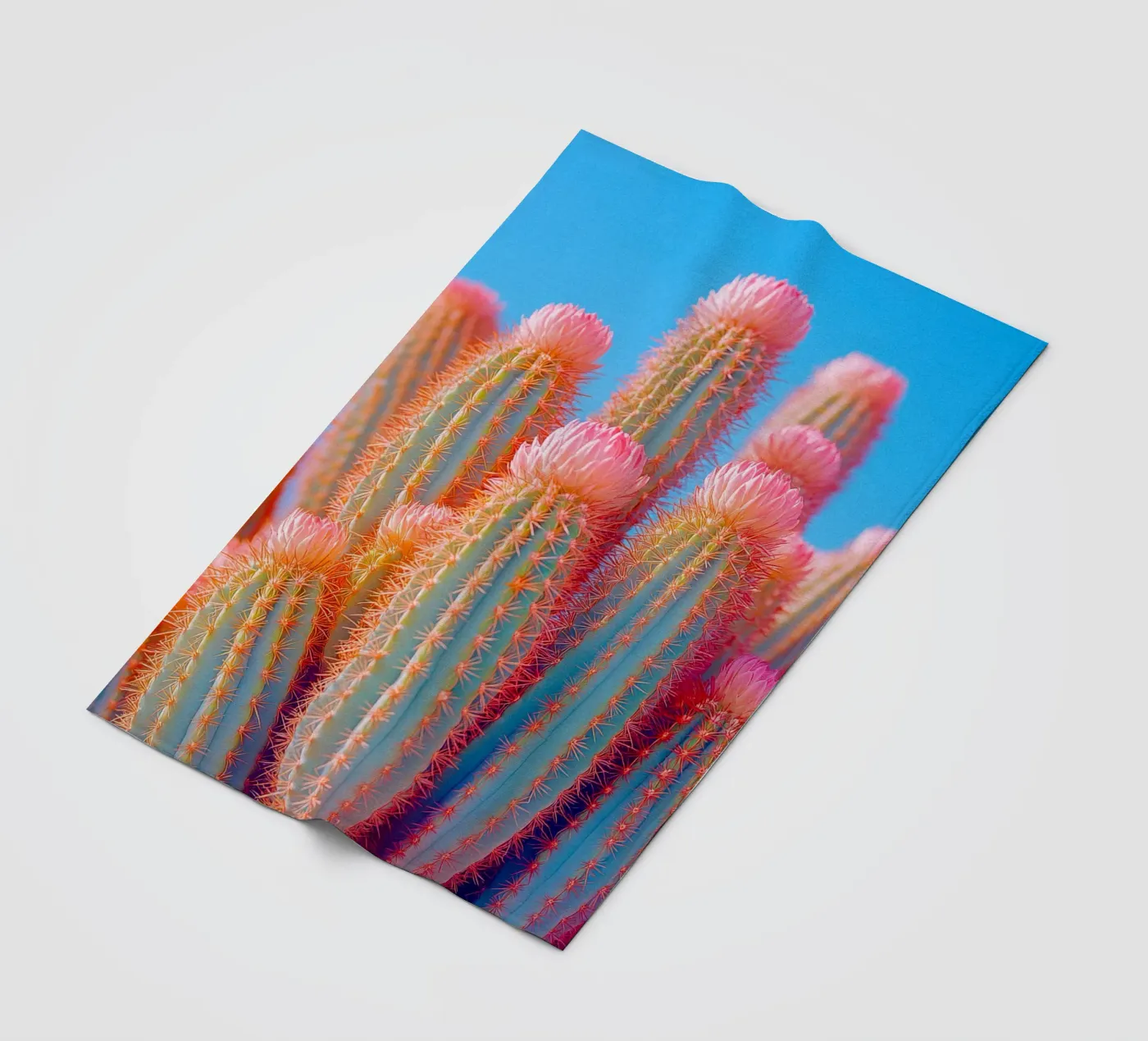 72 plaid polaire de Pink California | Affiches & Posters