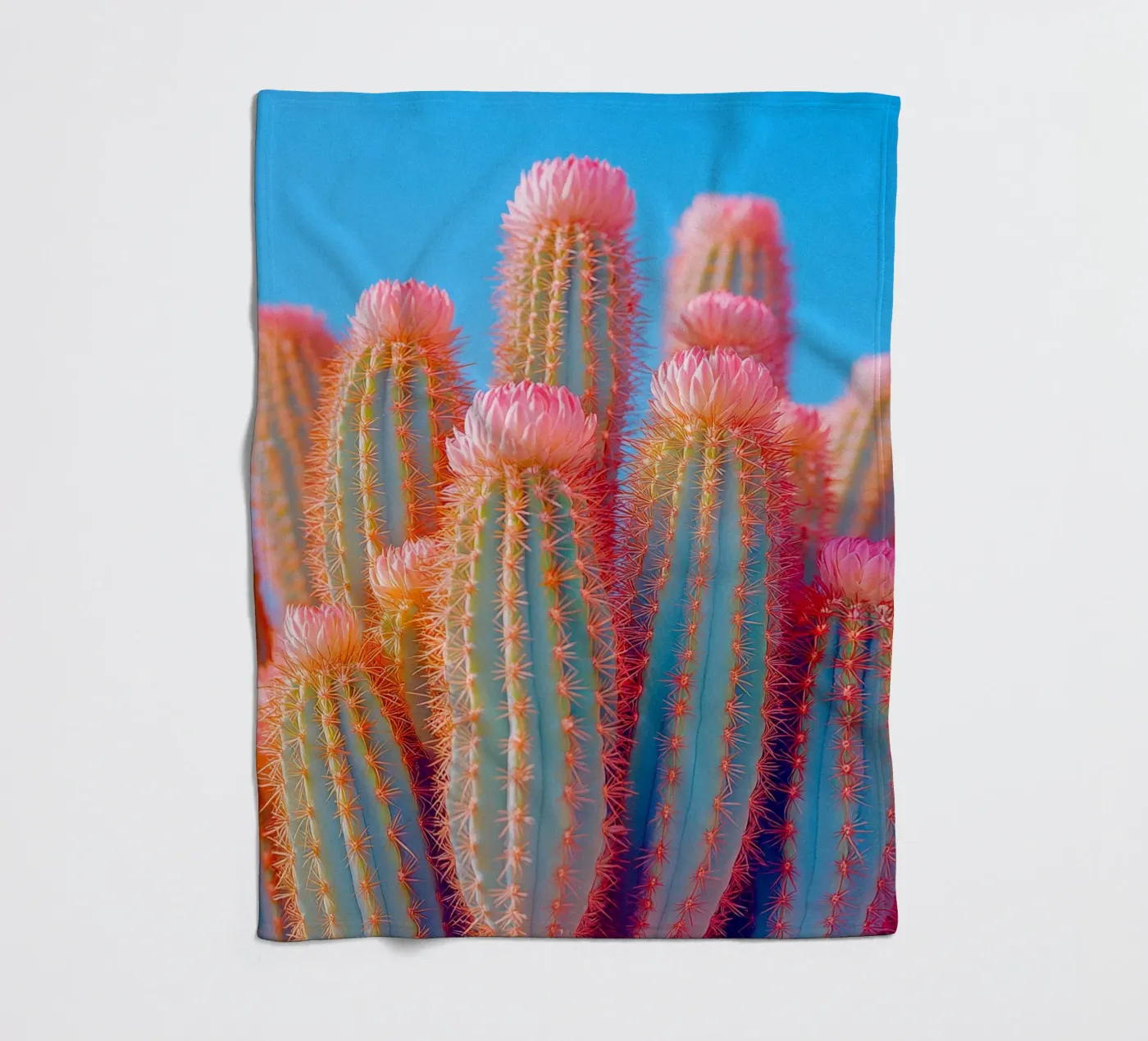 72 plaid polaire de Pink California | Affiches & Posters
