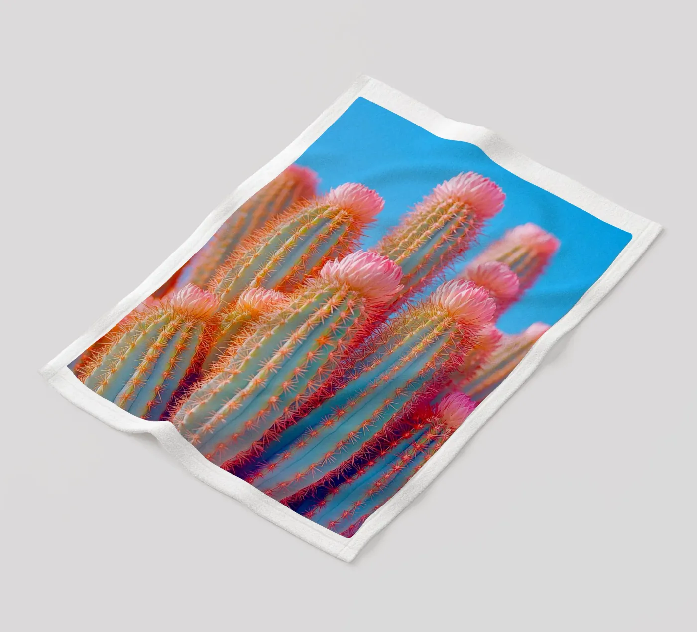 72 plaid polaire de Pink California | Affiches & Posters