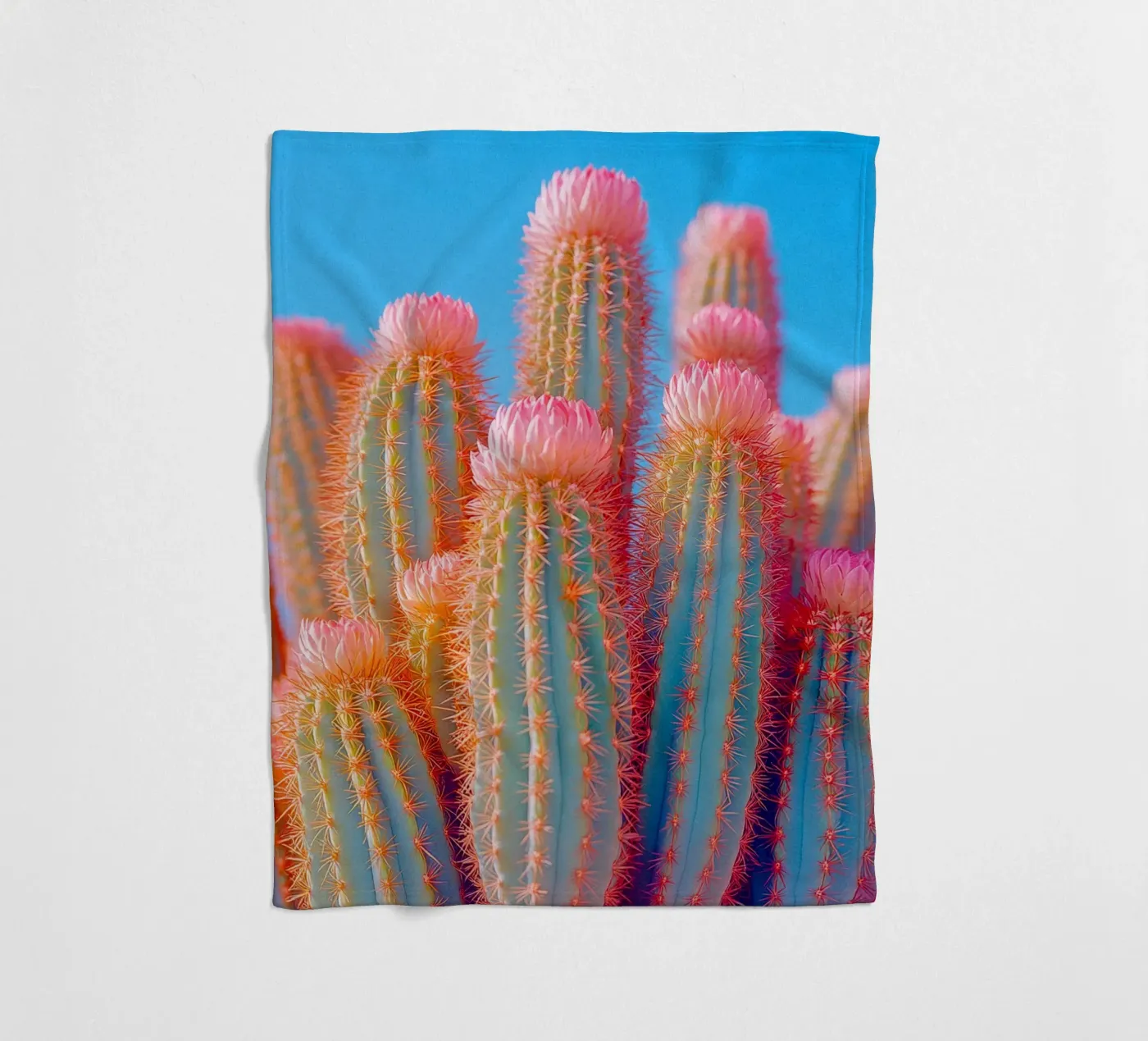 72 plaid polaire de Pink California | Affiches & Posters
