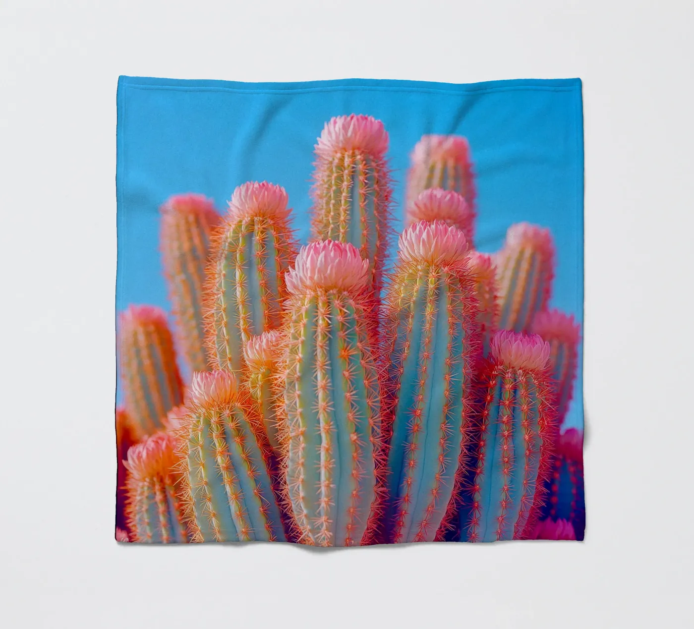 72 plaid polaire de Pink California | Affiches & Posters