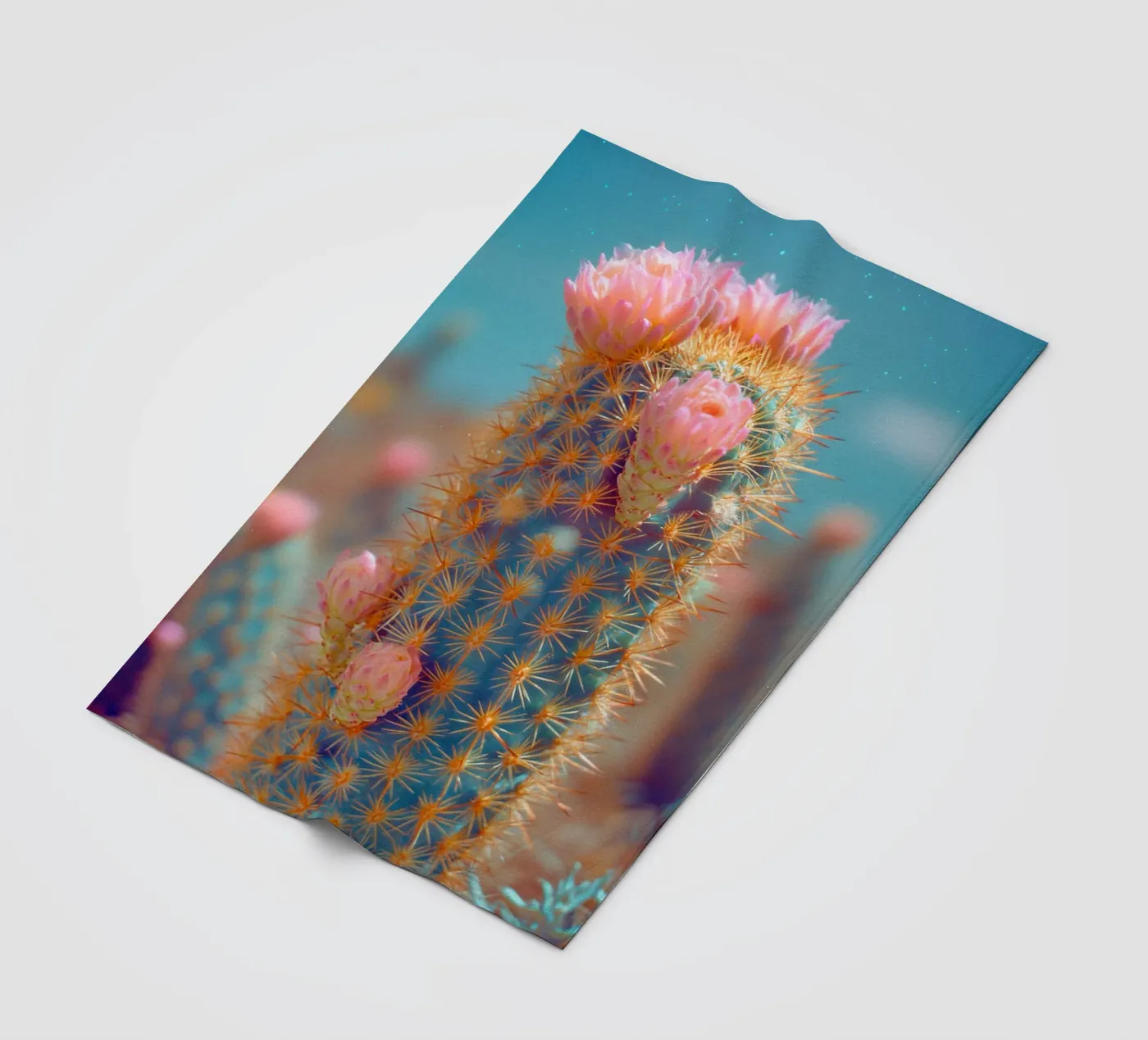 73 Fleecedecke von Pink California | Affiches & Posters