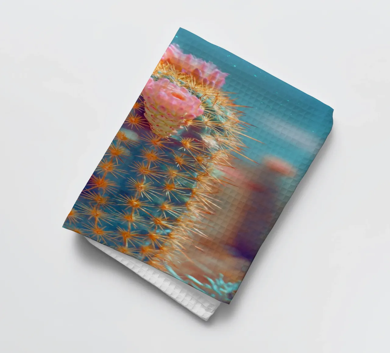 73 canovaccio da cucina da Pink California | Affiches & Posters