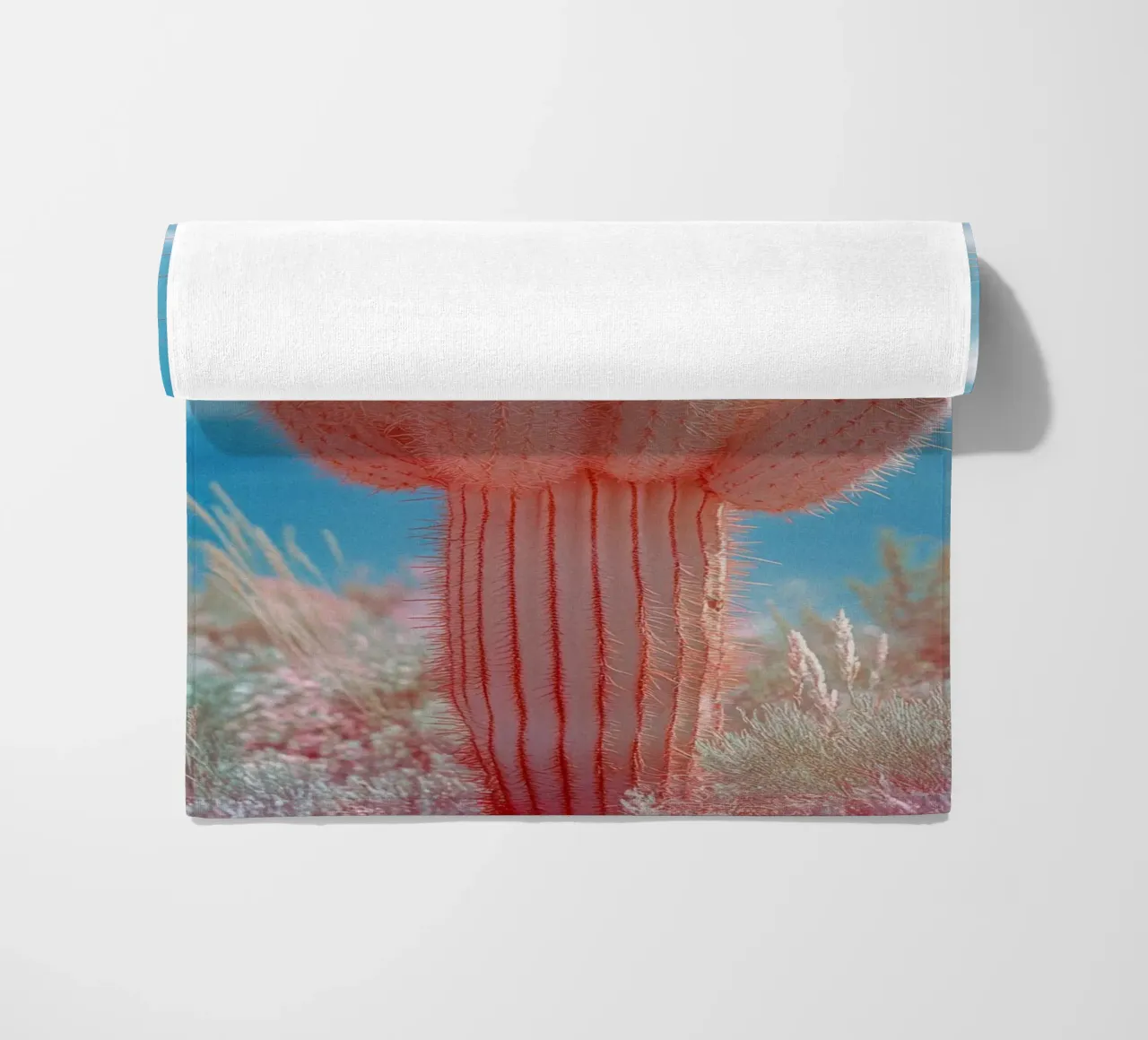 74 telo mare da Pink California | Affiches & Posters