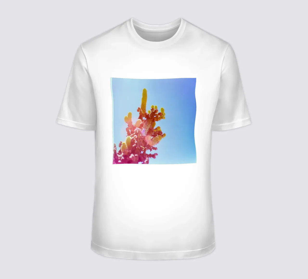 75 t-shirt da Pink California | Affiches & Posters