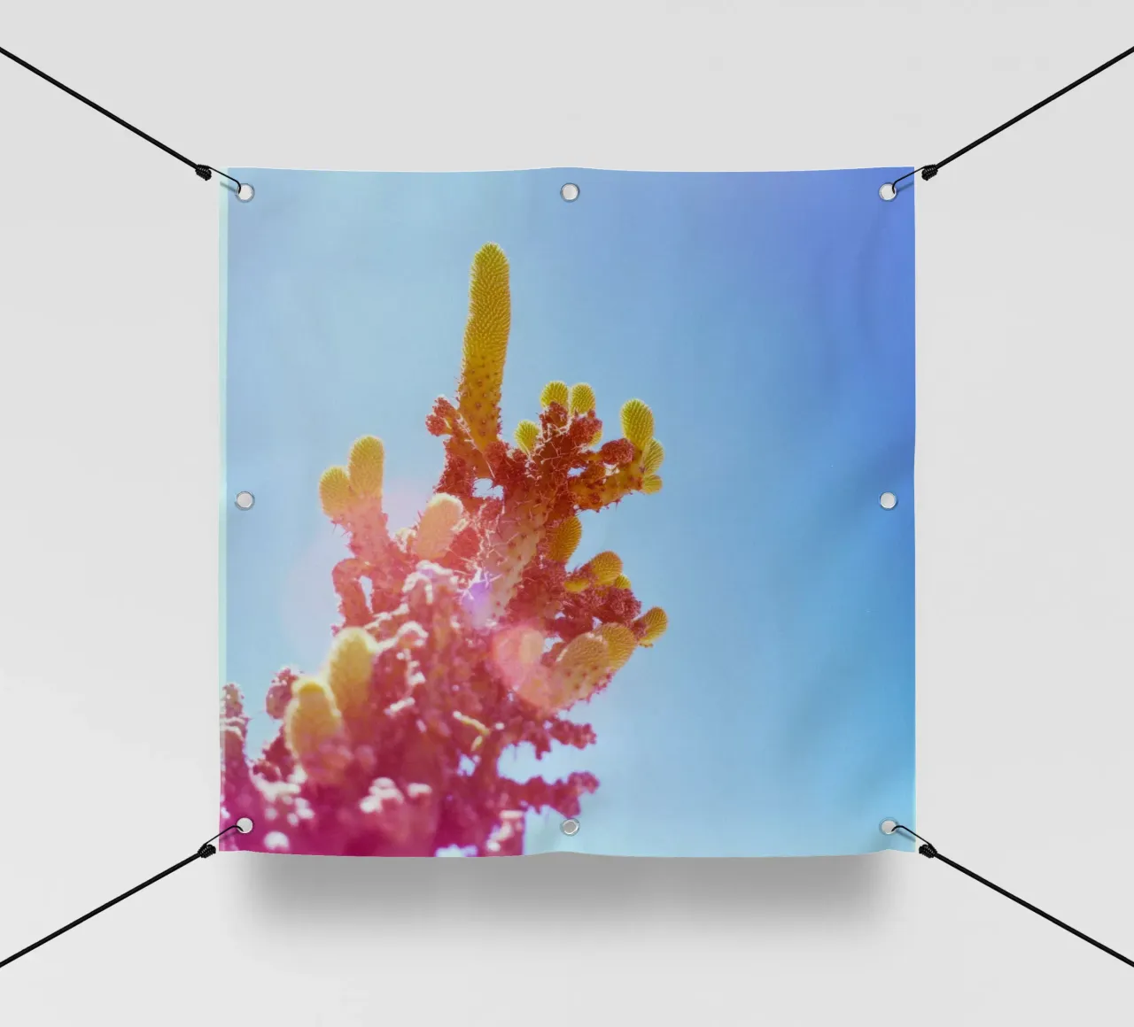75 telo in pvc da Pink California | Affiches & Posters