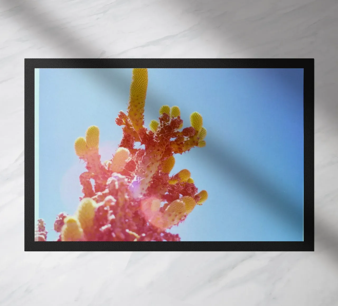 75 zerbino da Pink California | Affiches & Posters