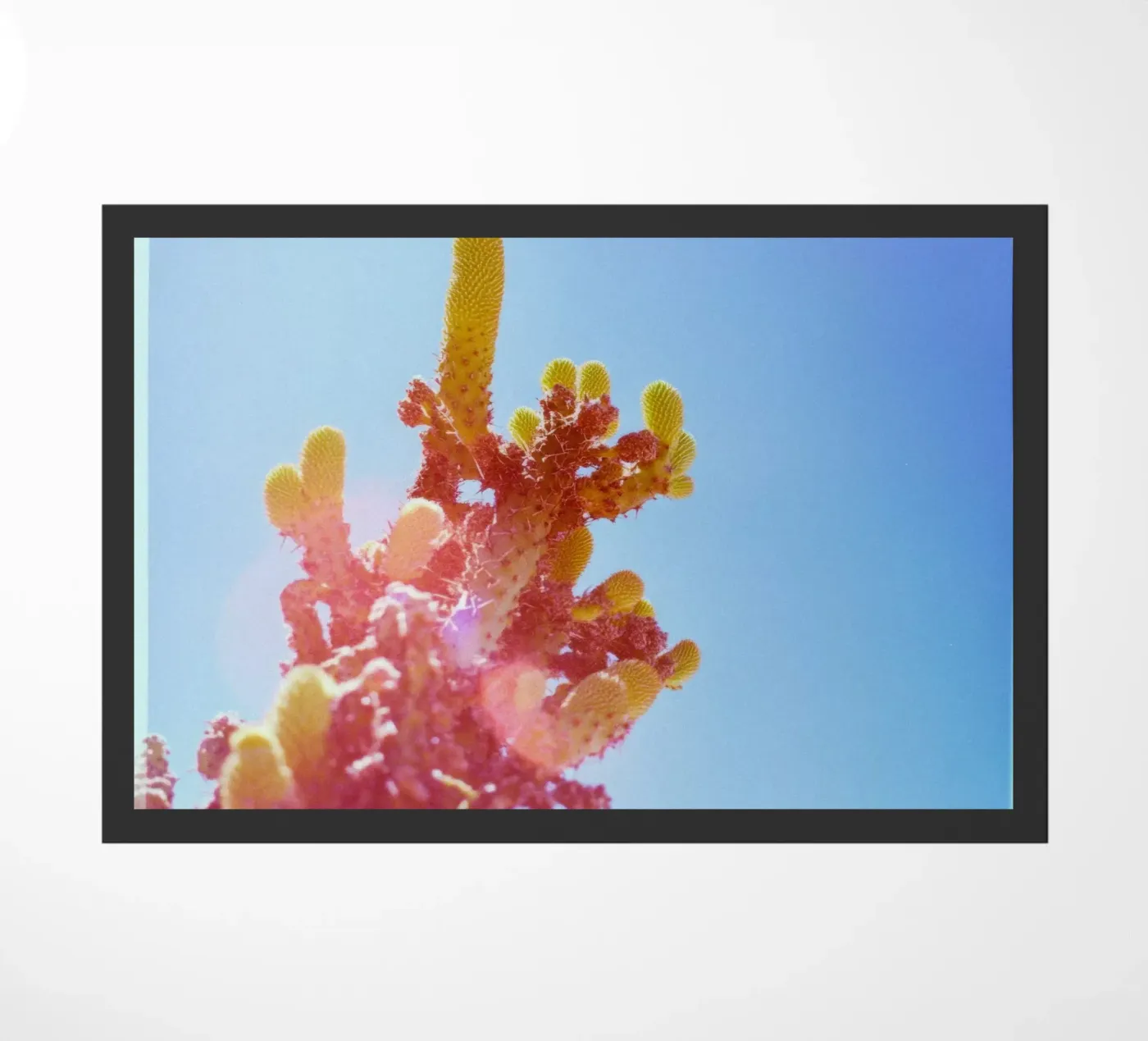 75 Fußmatte von Pink California | Affiches & Posters