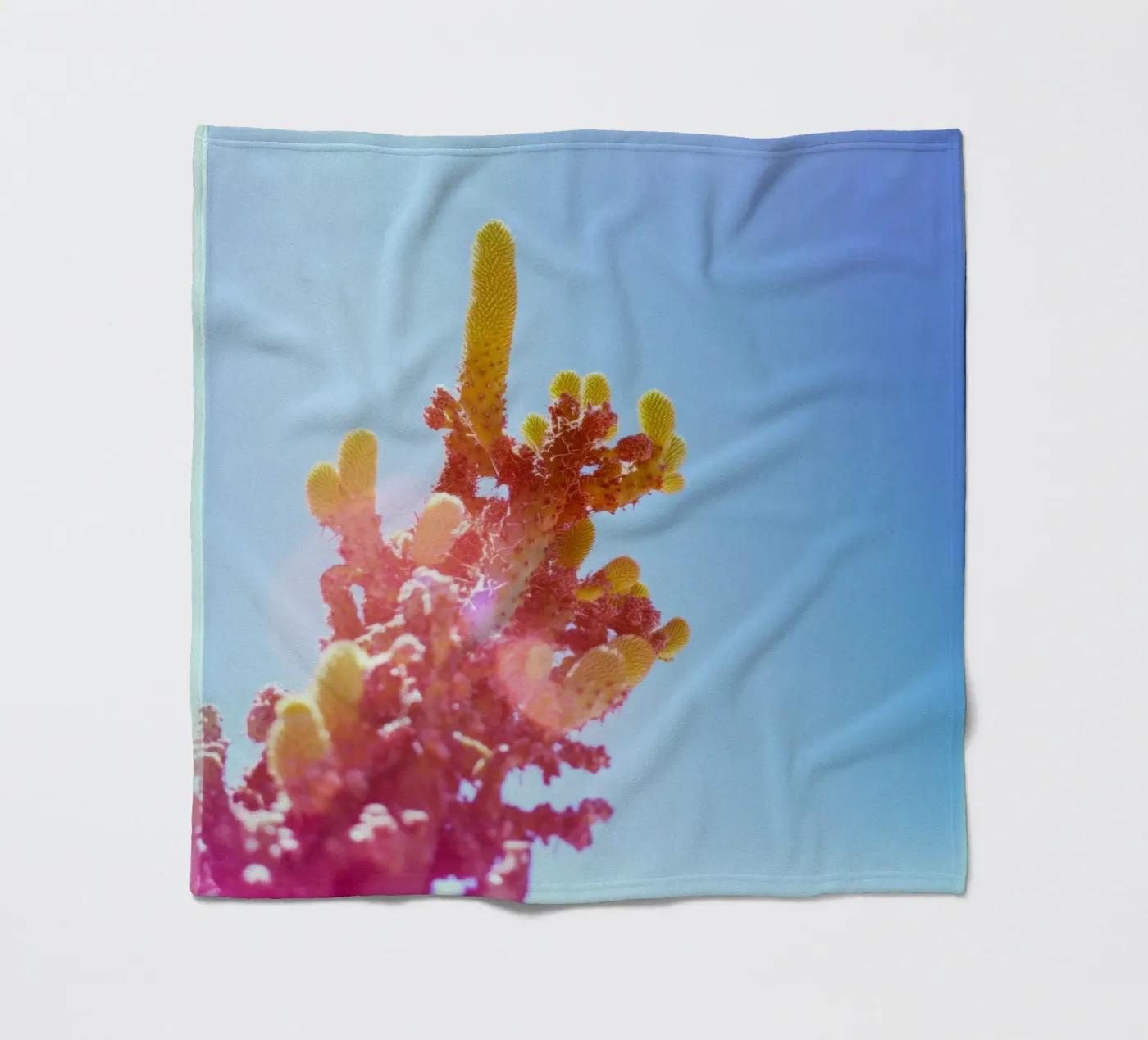 75 plaid polaire de Pink California | Affiches & Posters