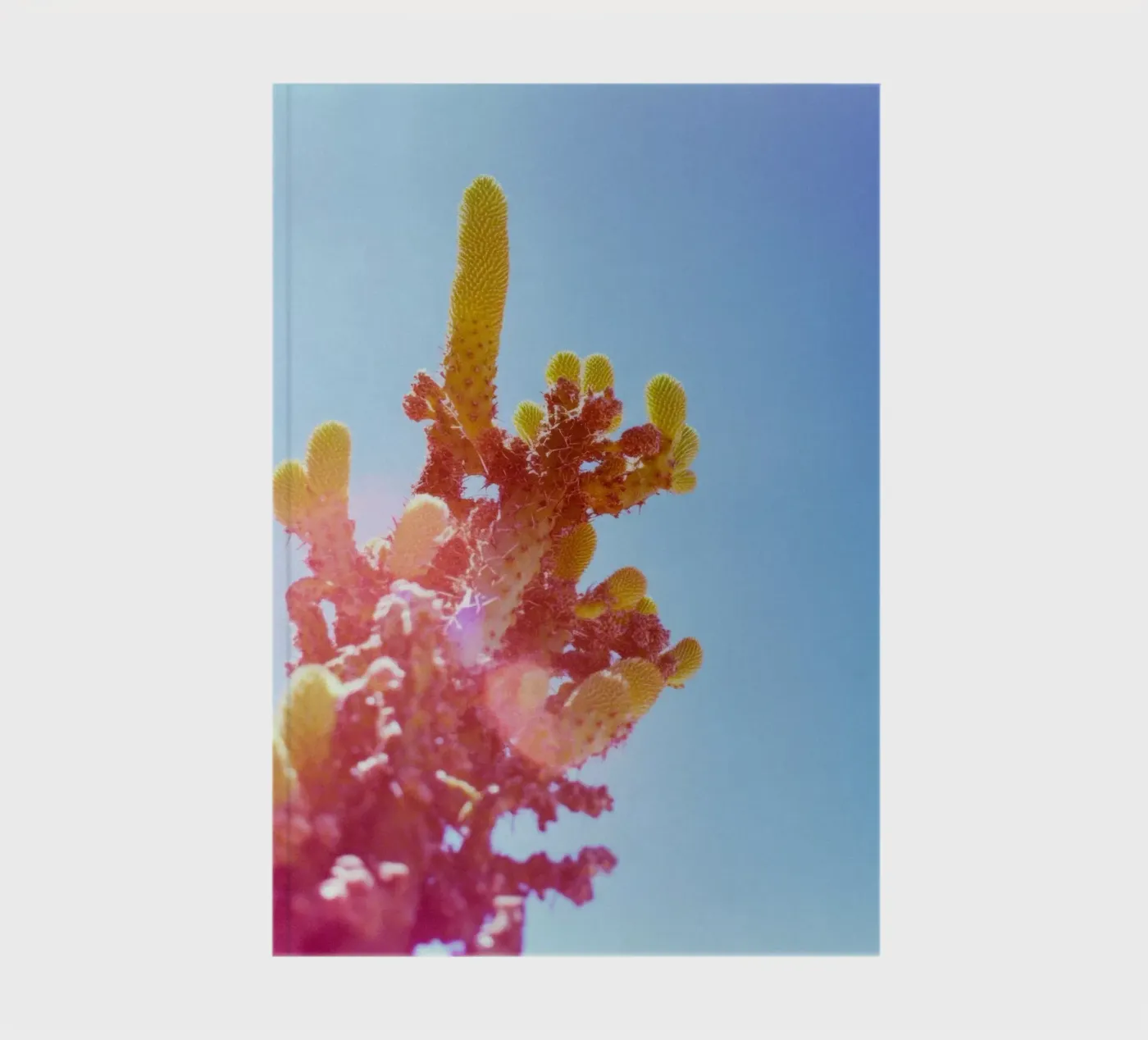 75 notebook by Pink California | Affiches & Posters