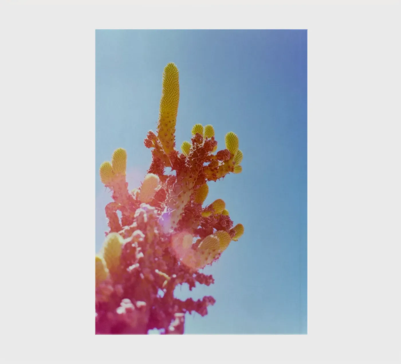 75 notebook by Pink California | Affiches & Posters