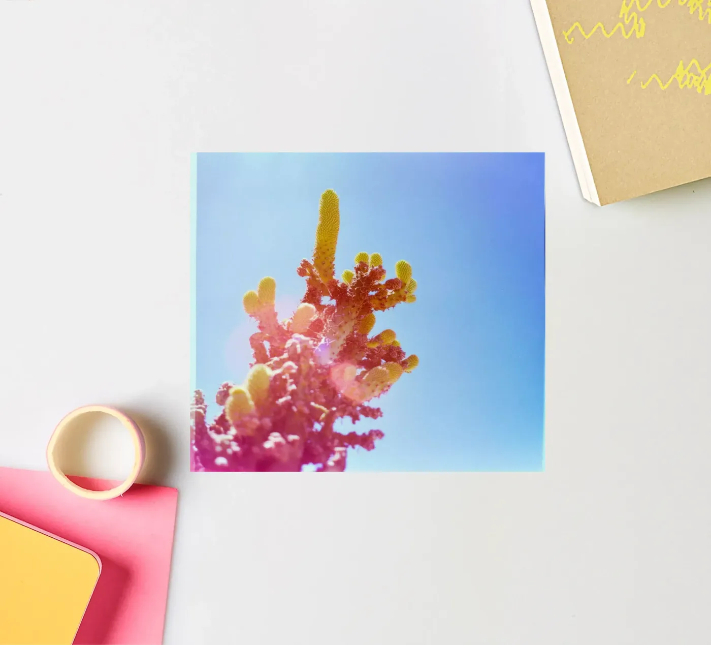 75 sticker van Pink California | Affiches & Posters