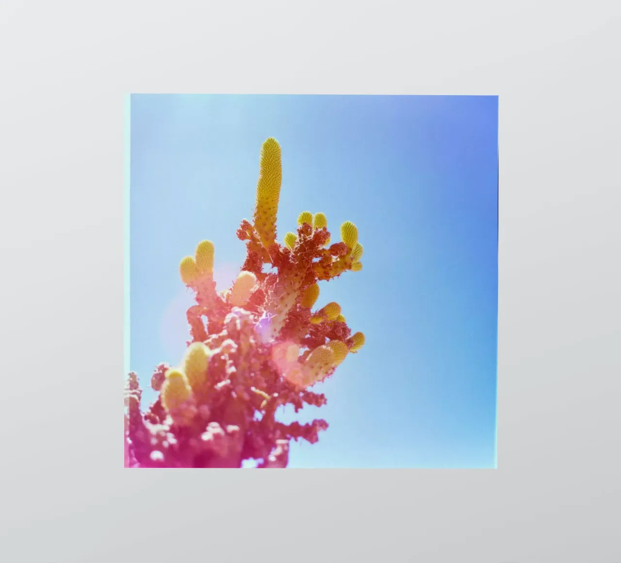 75 sticker by Pink California | Affiches & Posters