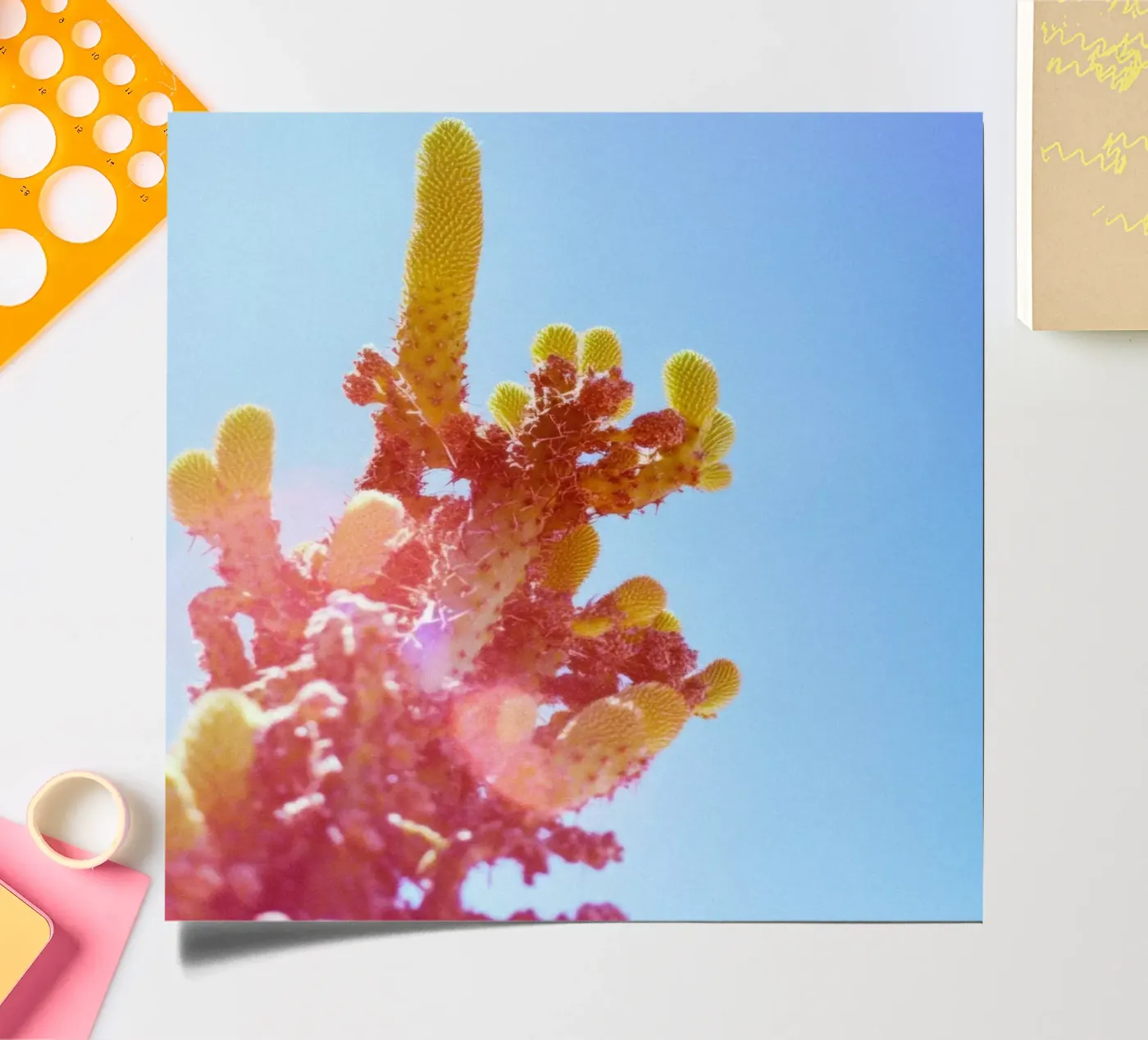 75 stickervel van Pink California | Affiches & Posters