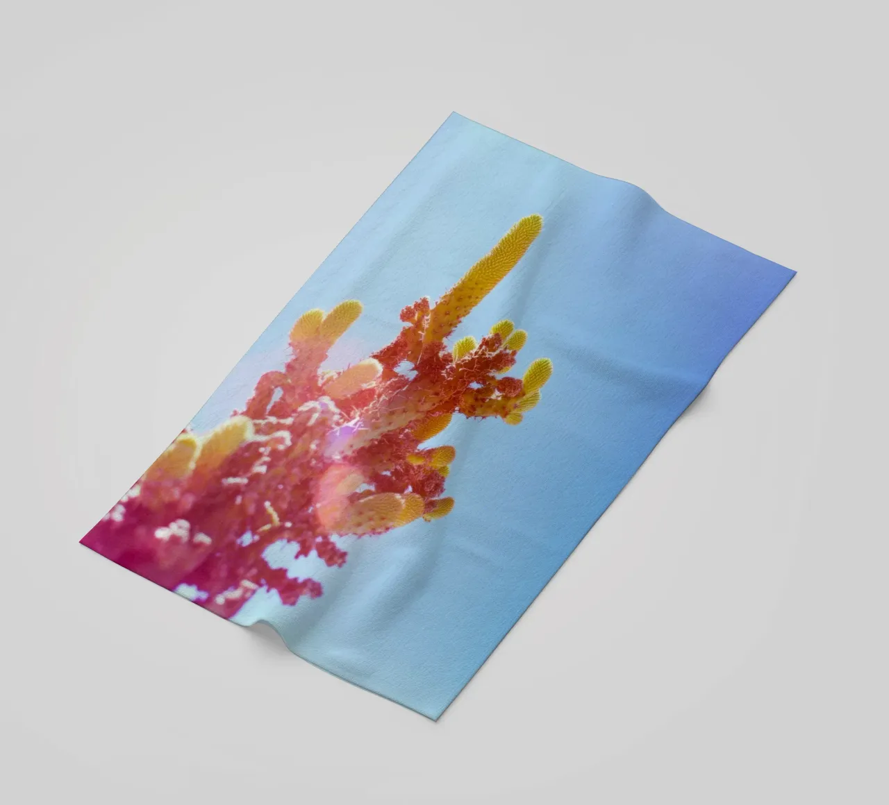 75 telo mare da Pink California | Affiches & Posters