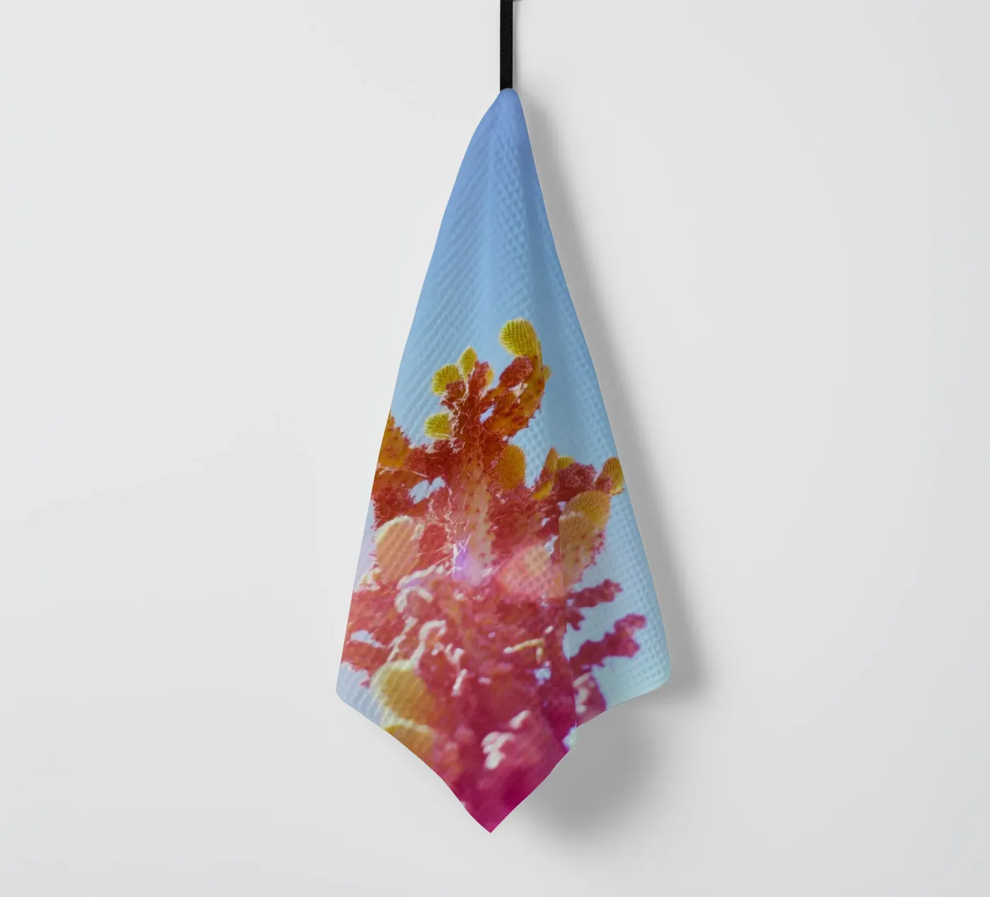 75 torchon de Pink California | Affiches & Posters