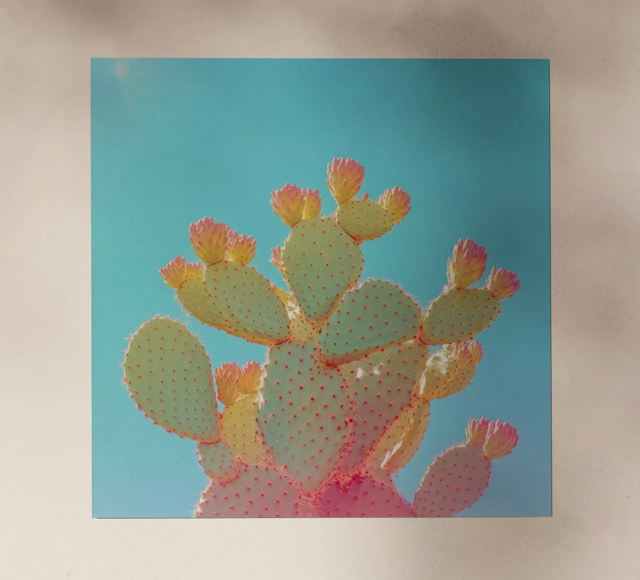 76 pellicola backlit da Pink California | Affiches & Posters