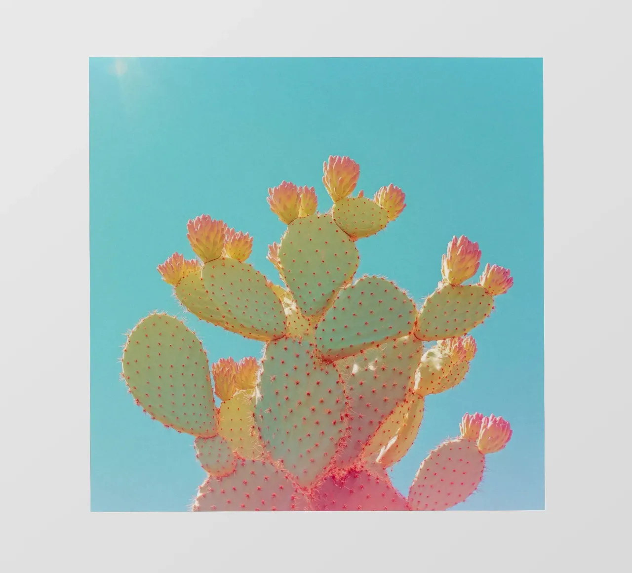 76 telo in pvc da Pink California | Affiches & Posters