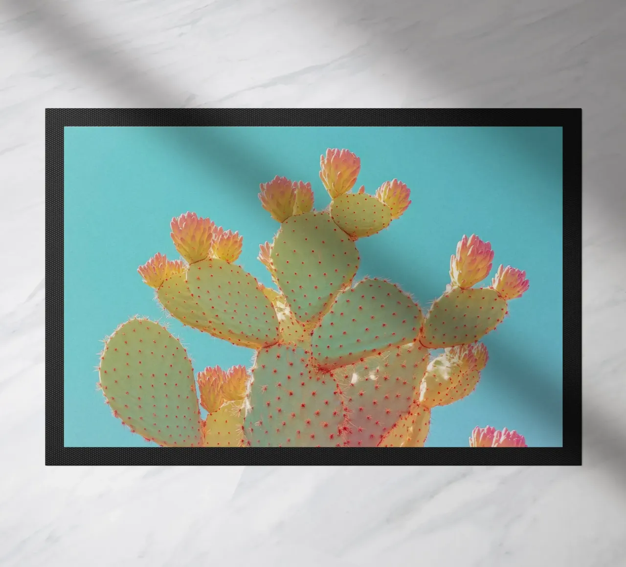 76 zerbino da Pink California | Affiches & Posters