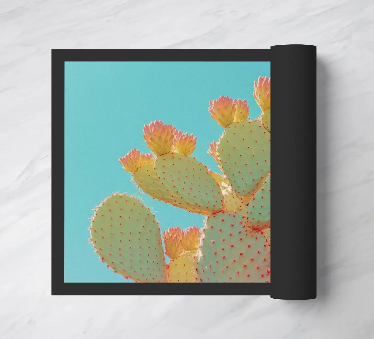 76 zerbino da Pink California | Affiches & Posters