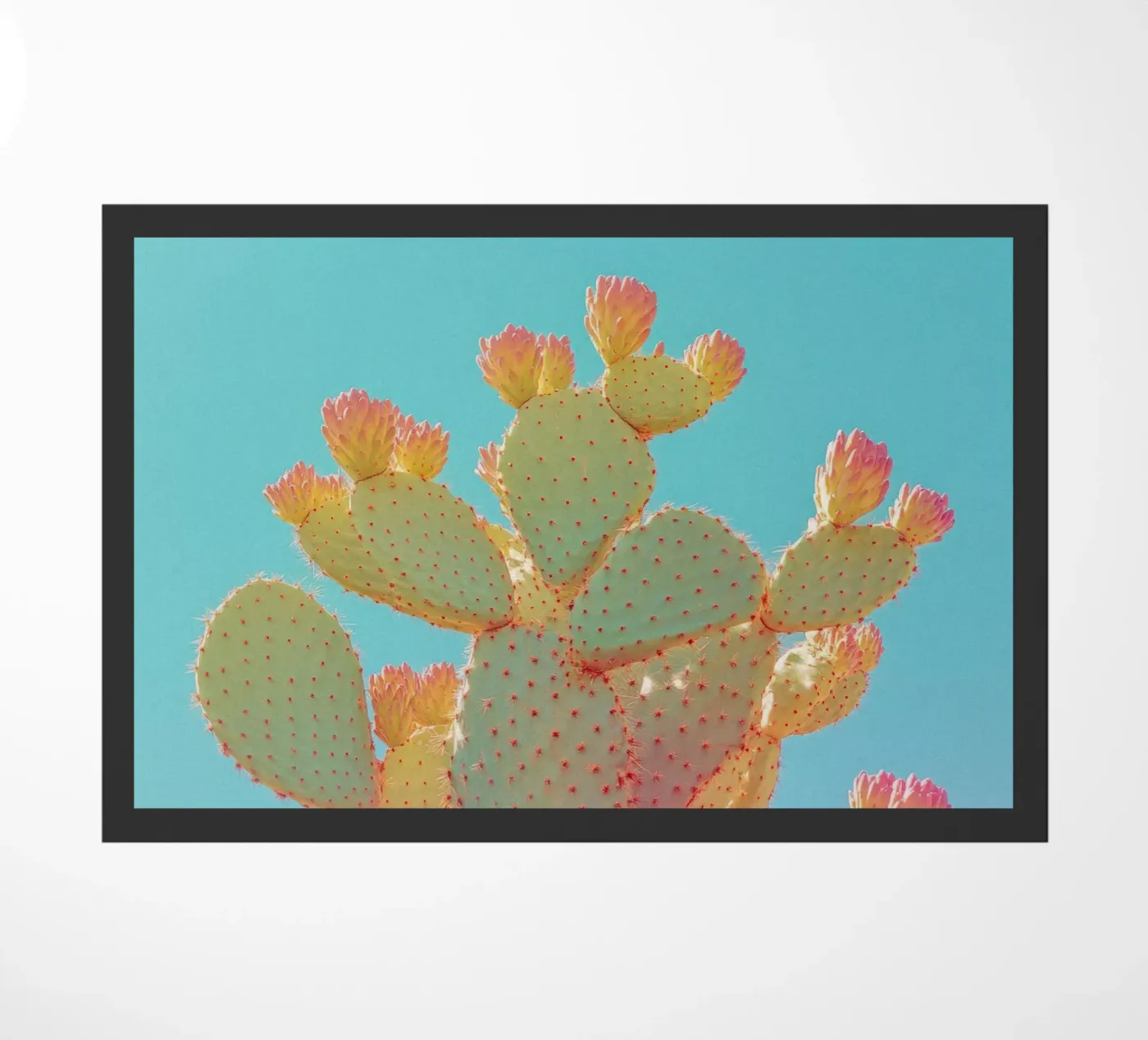 76 doormat by Pink California | Affiches & Posters