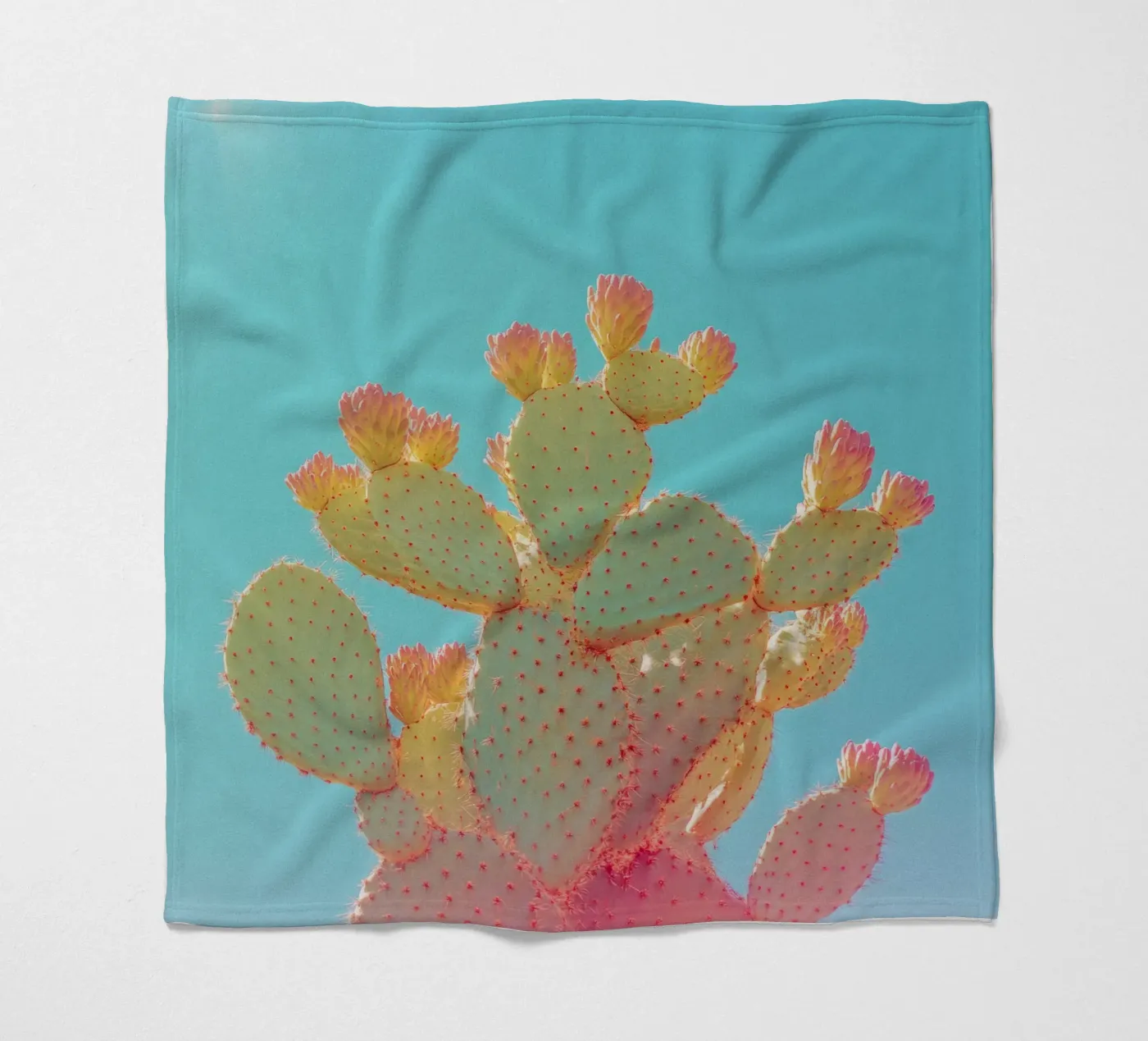 76 fleece blanket by Pink California | Affiches & Posters