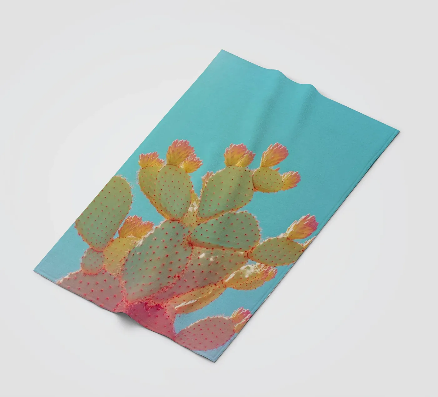 76 fleece blanket by Pink California | Affiches & Posters