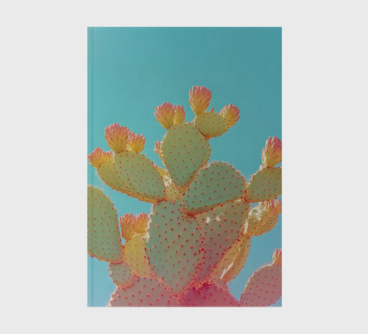 76 notebook by Pink California | Affiches & Posters