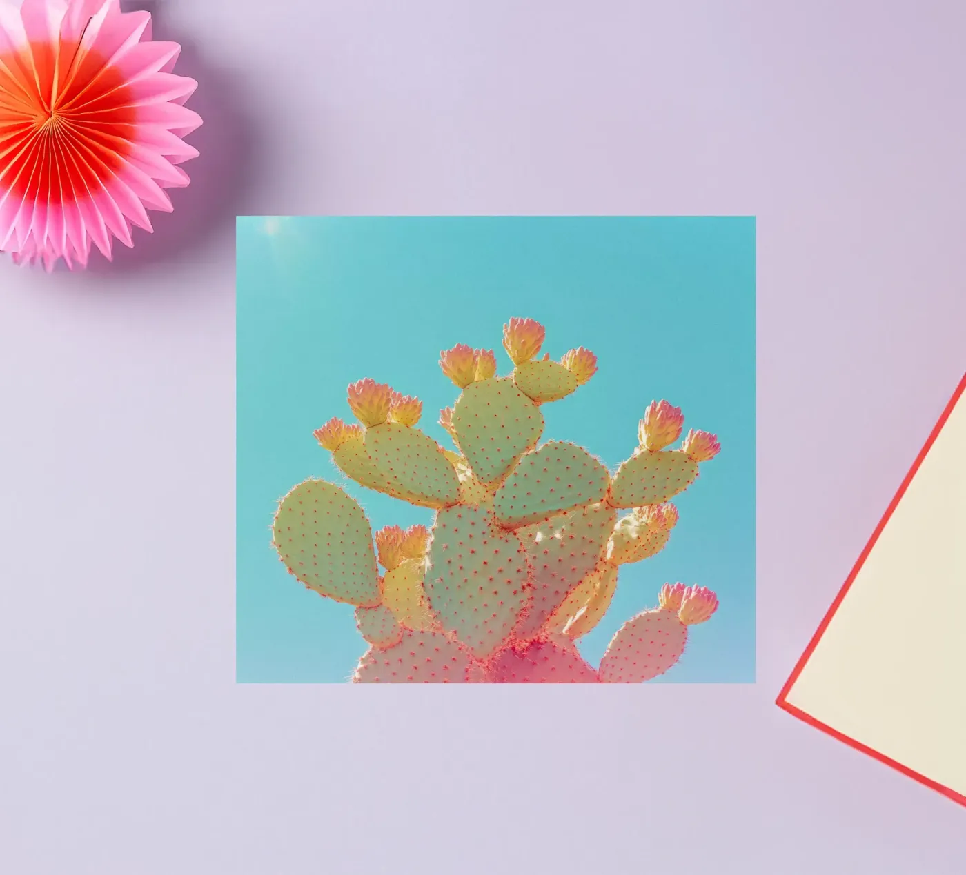 76 sticker van Pink California | Affiches & Posters