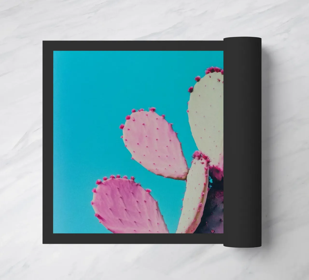 77 zerbino da Pink California | Affiches & Posters