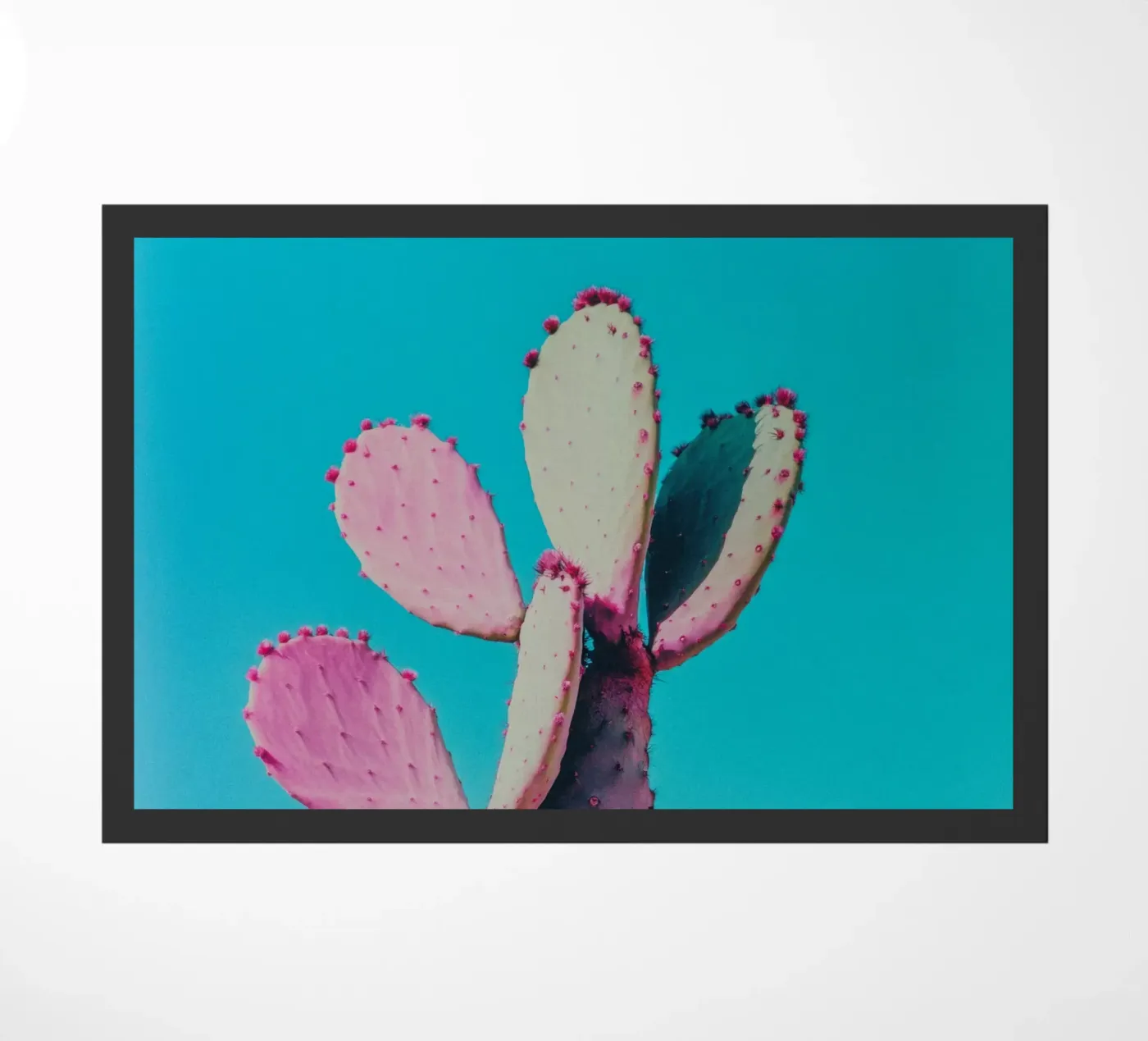 77 deurmat van Pink California | Affiches & Posters