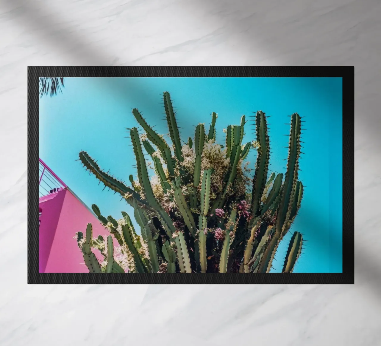 78 zerbino da Pink California | Affiches & Posters