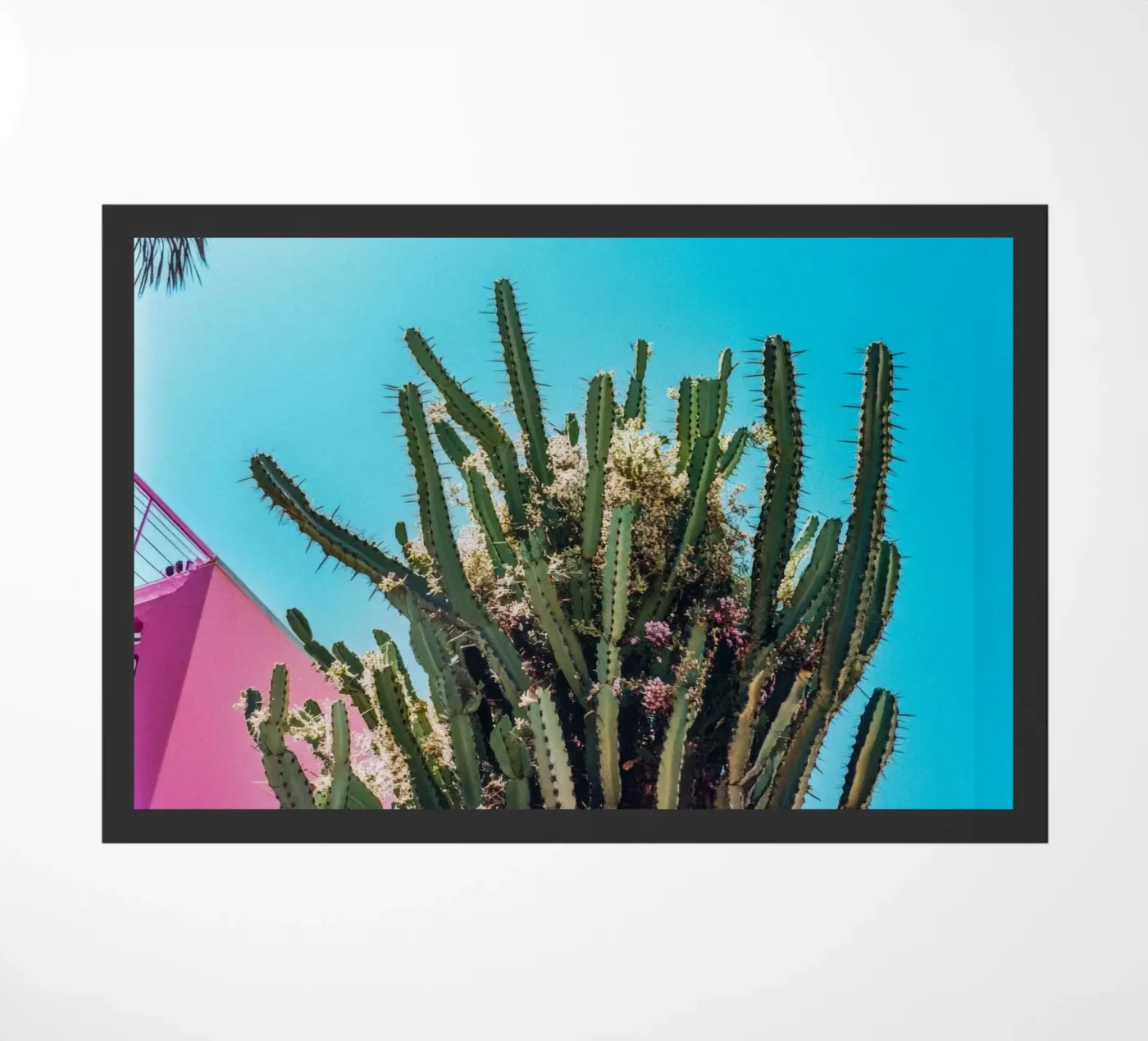 78 doormat by Pink California | Affiches & Posters