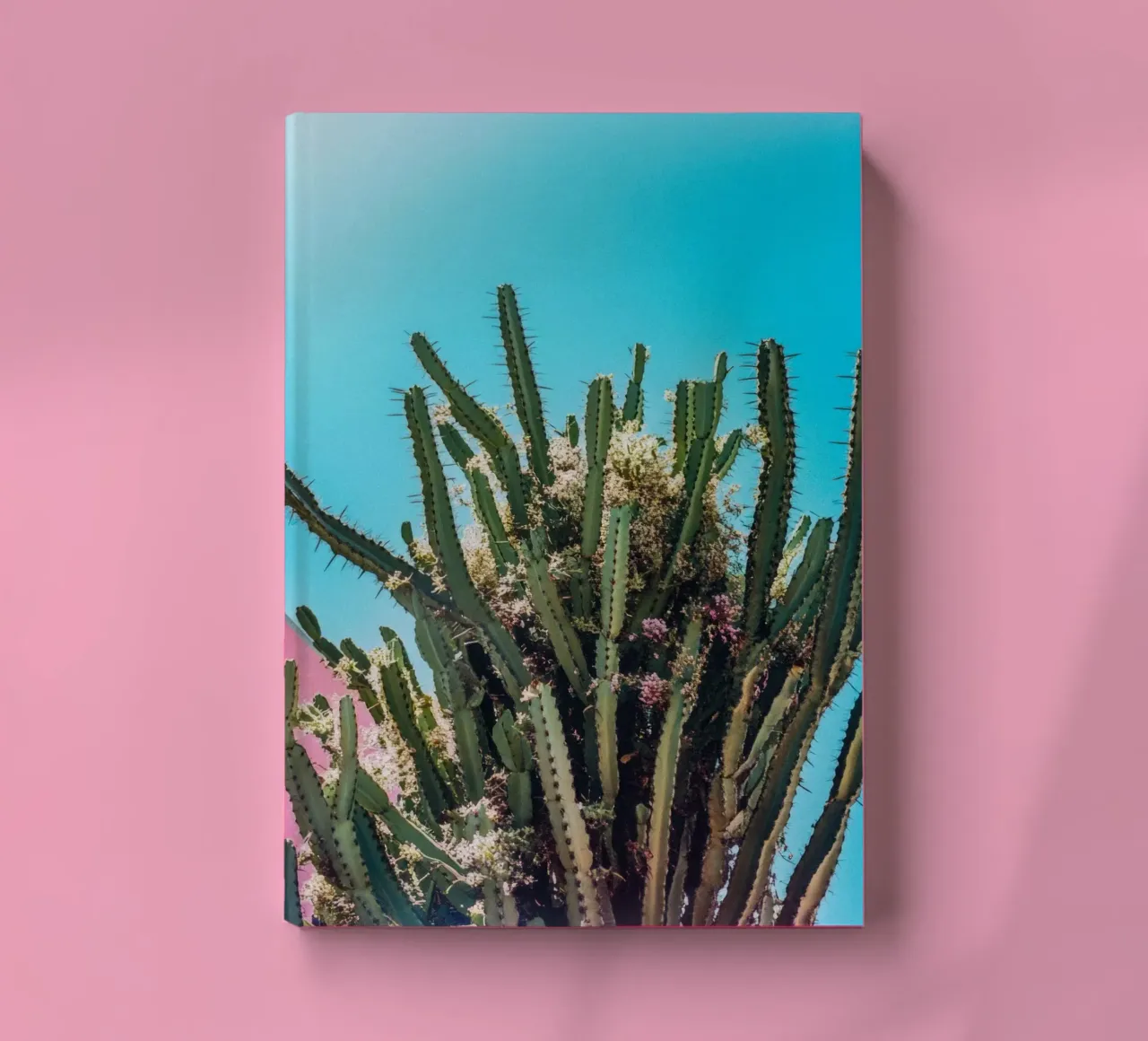 78 notebook by Pink California | Affiches & Posters