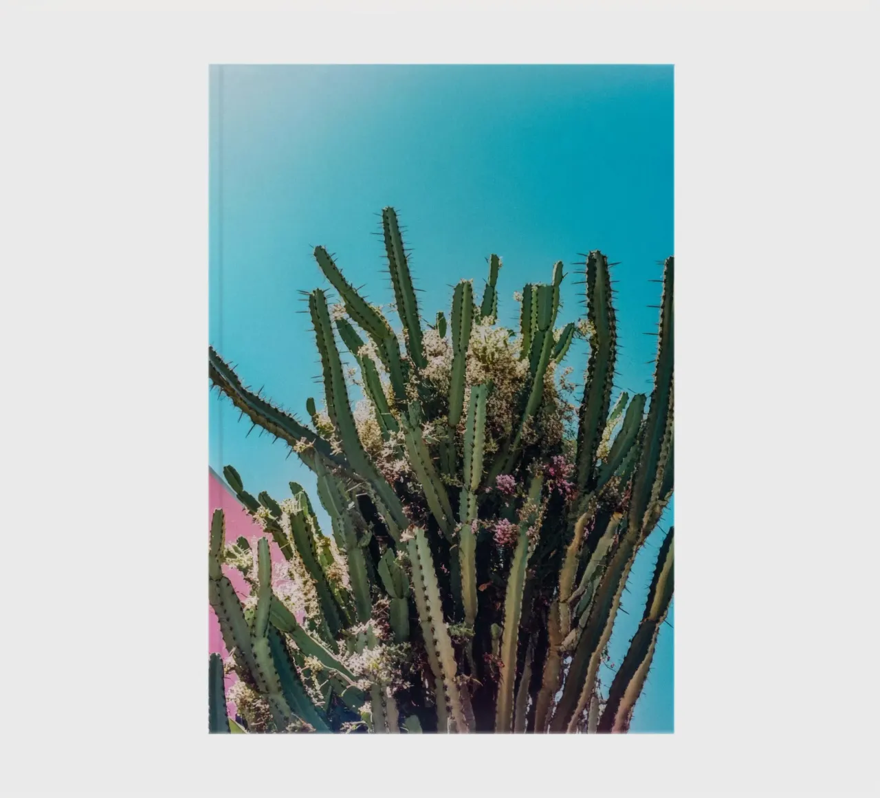 78 notebook by Pink California | Affiches & Posters