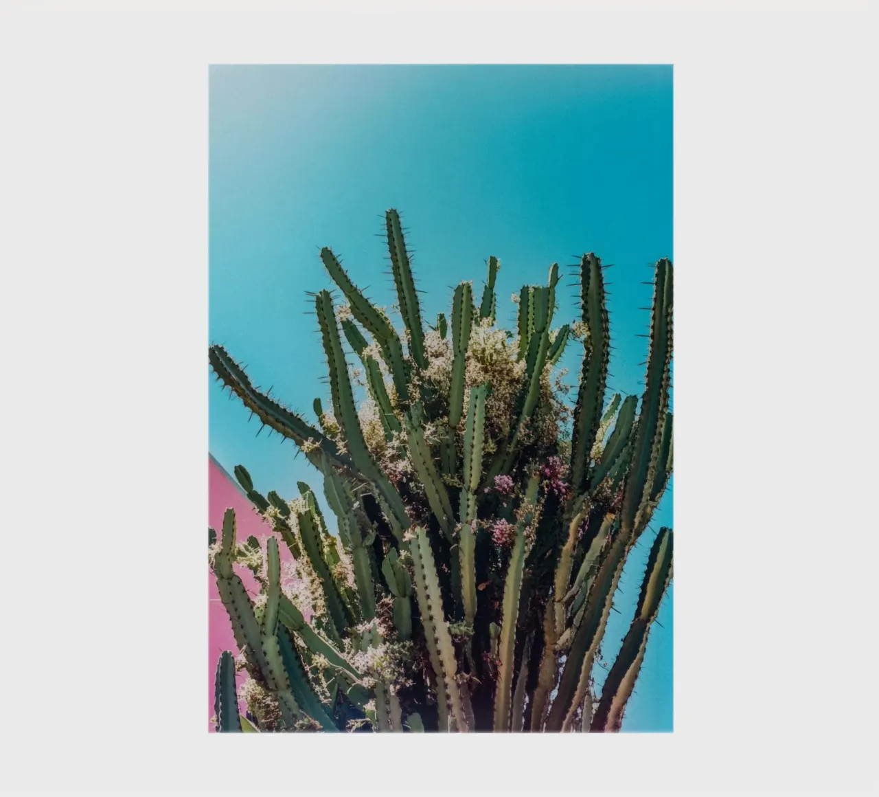 78 notebook by Pink California | Affiches & Posters