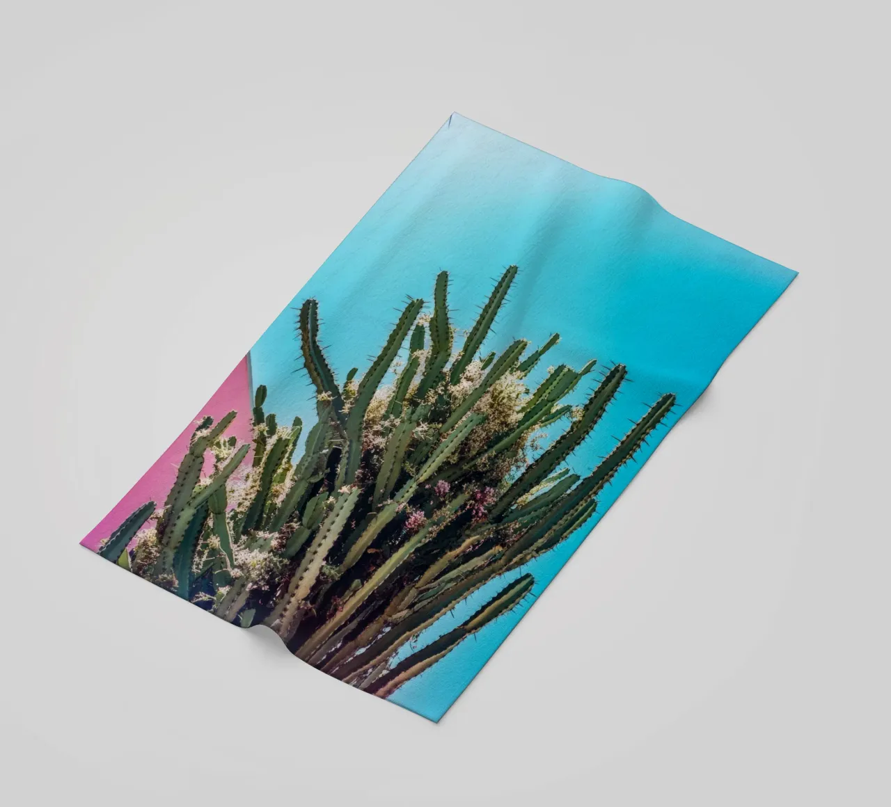 78 telo mare da Pink California | Affiches & Posters