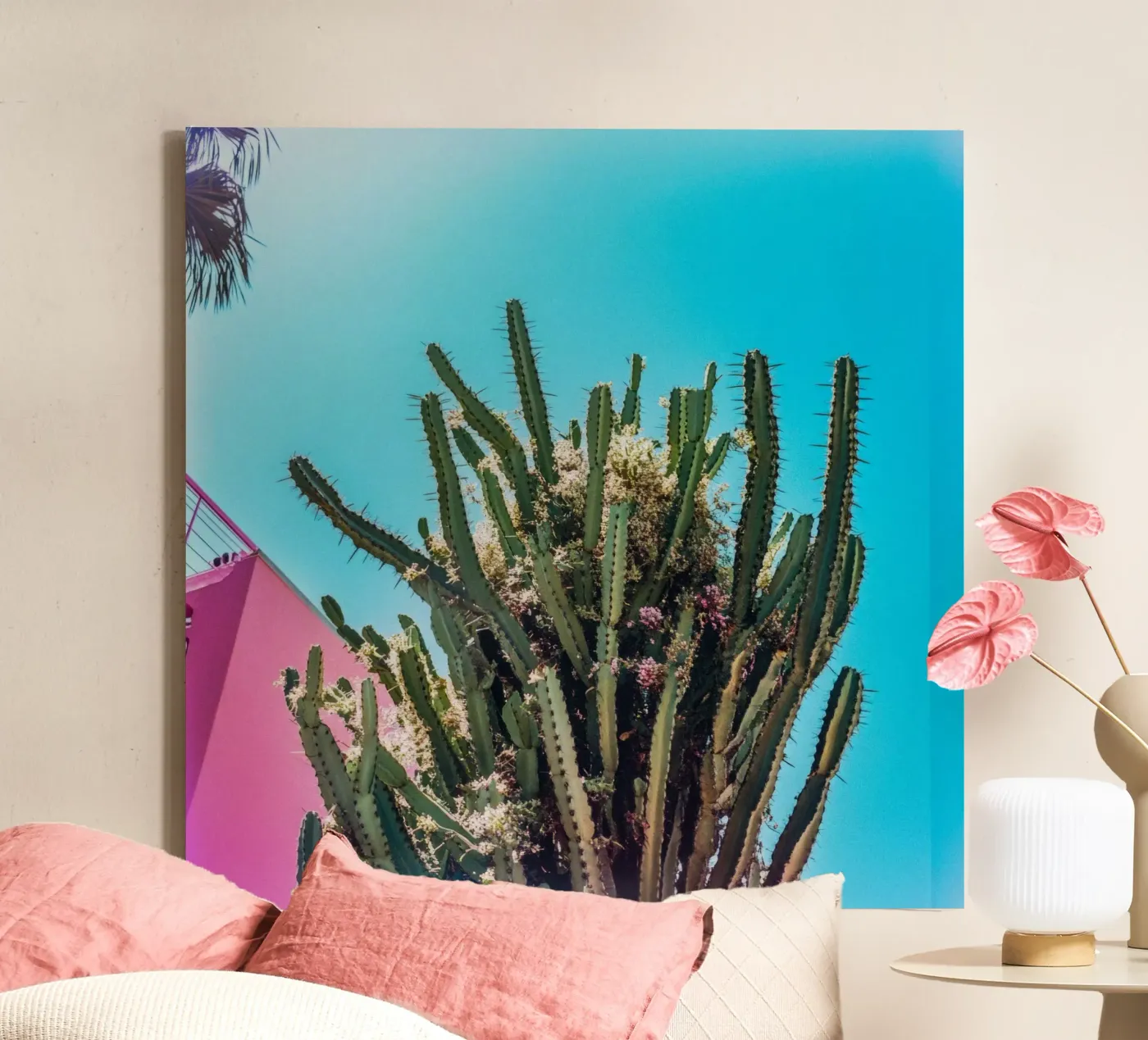 78 tela da Pink California | Affiches & Posters